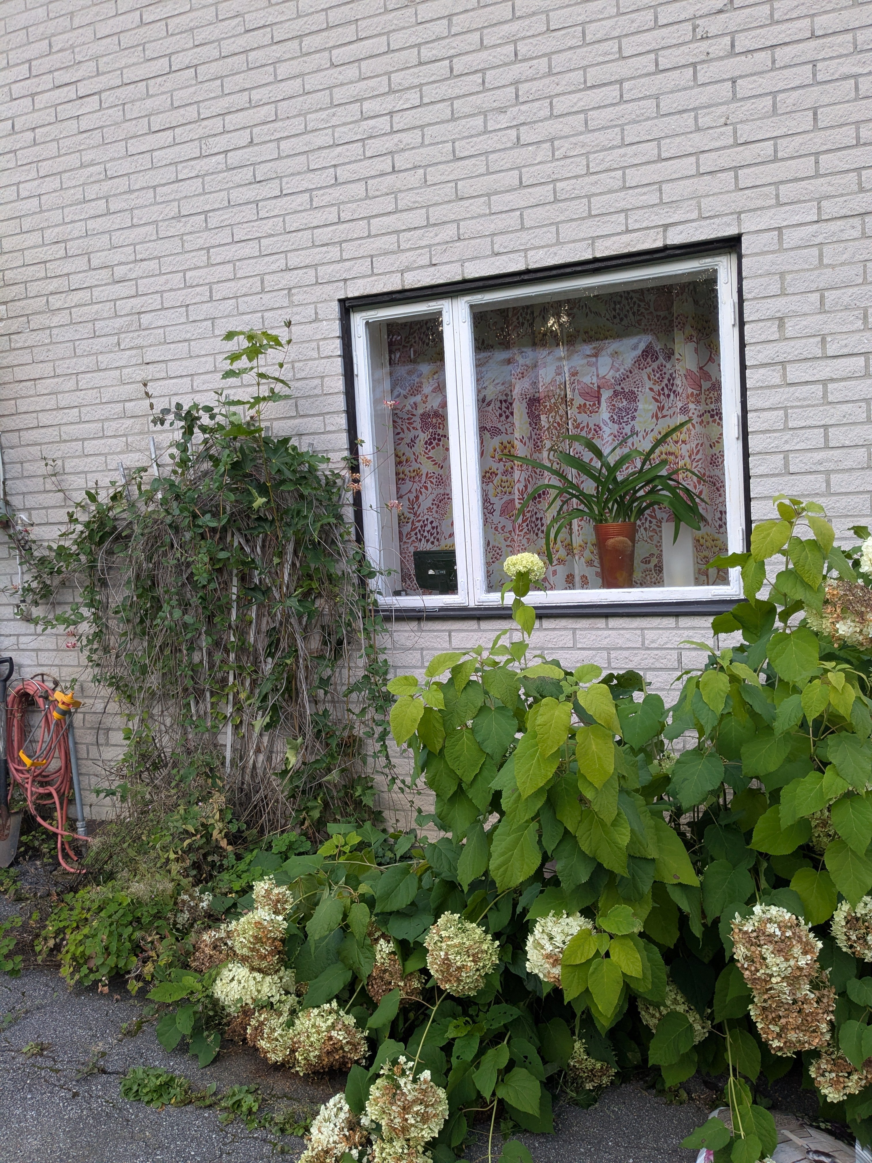 Hus – Ytterlännäs distrikt, Holmen - Bild 4