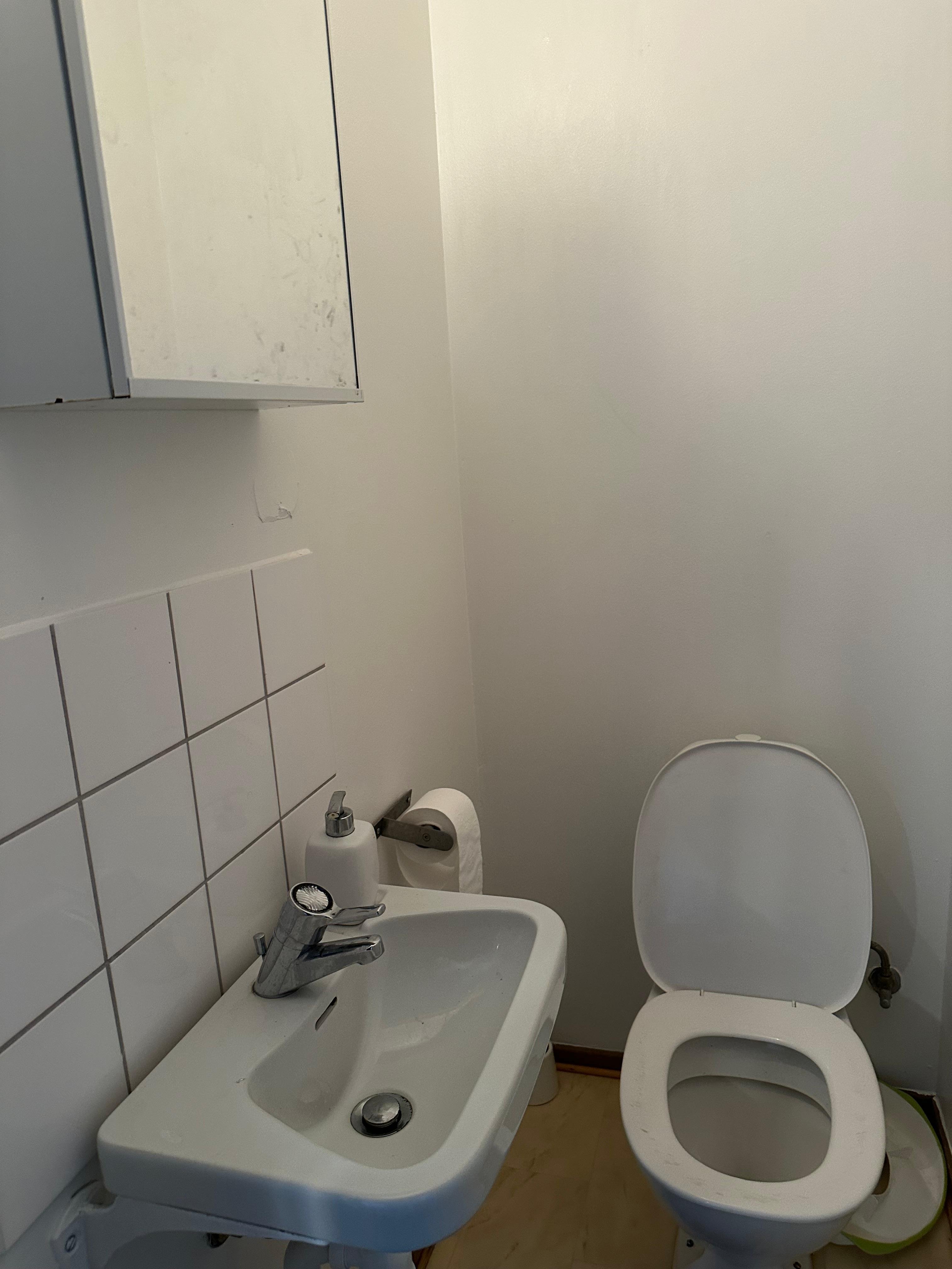 Blidvädersvägen, Lund — photo 4