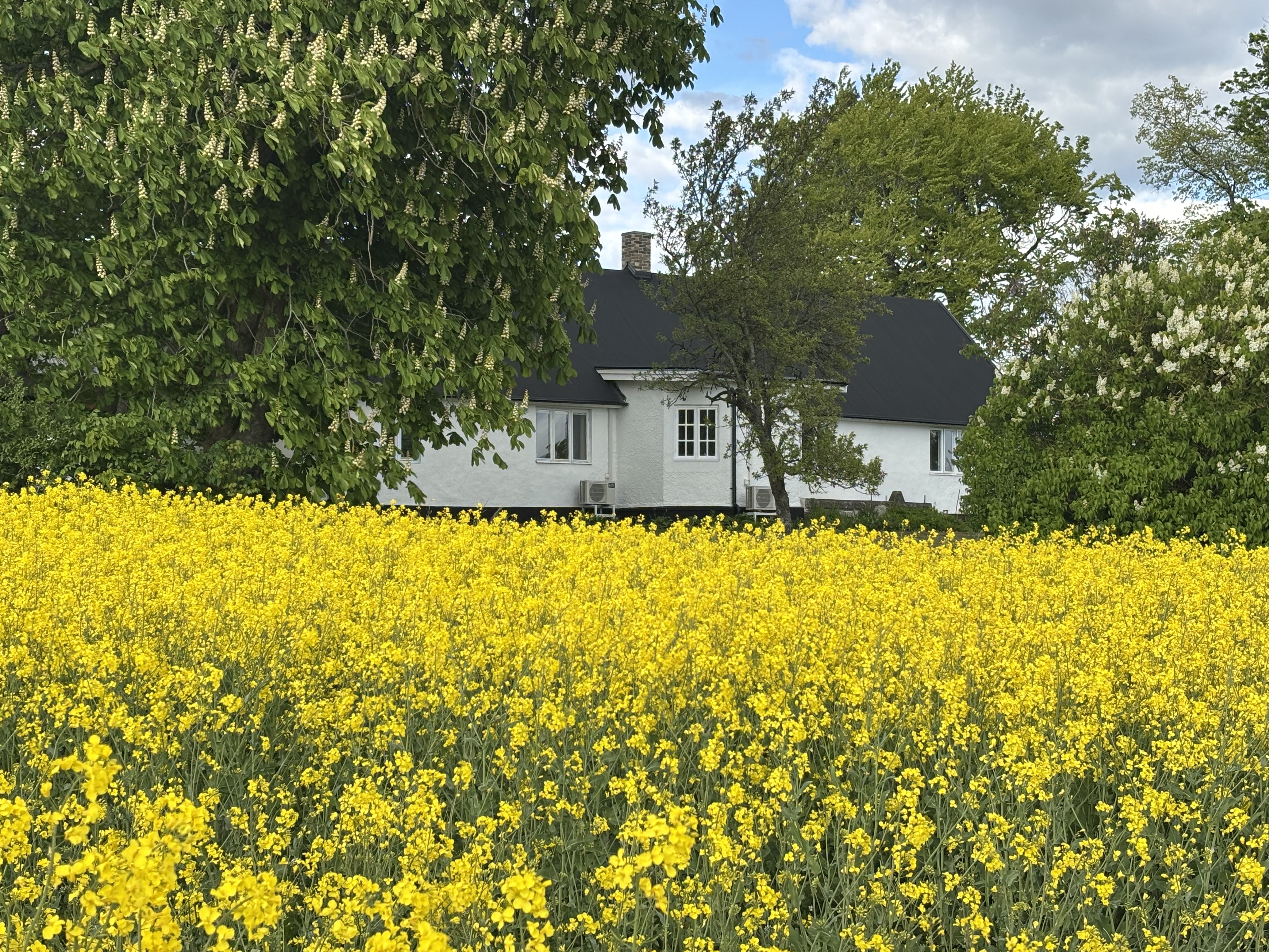 Villa/Hus, 6 rooms, 160 sqm, Harlösa