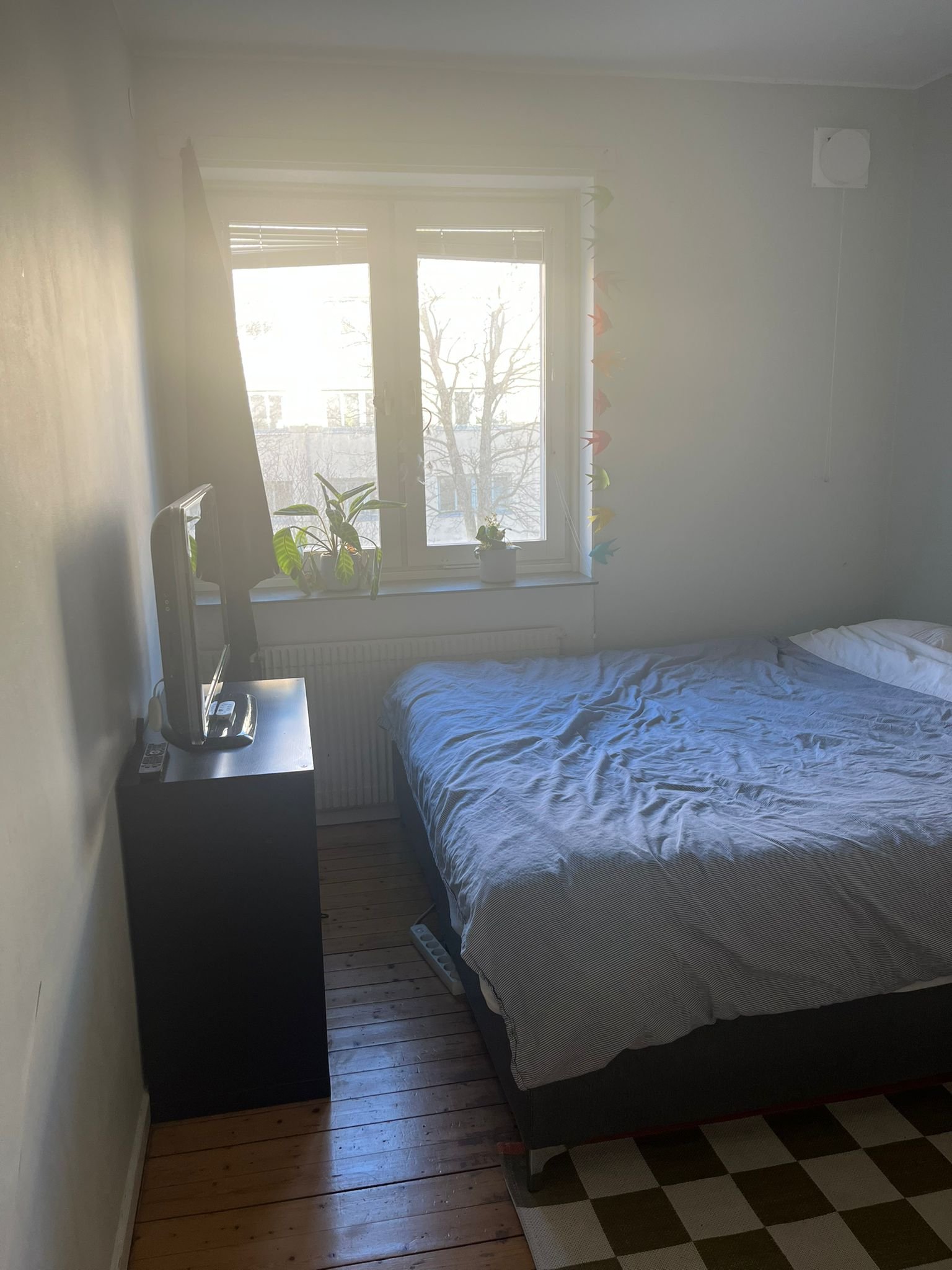 Wallenbergsgatan, Göteborg — photo 5