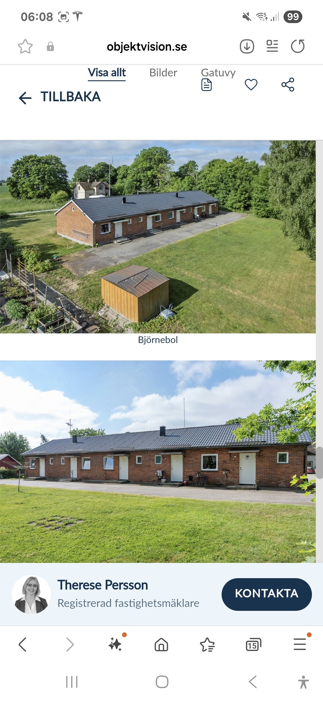 Björnebol