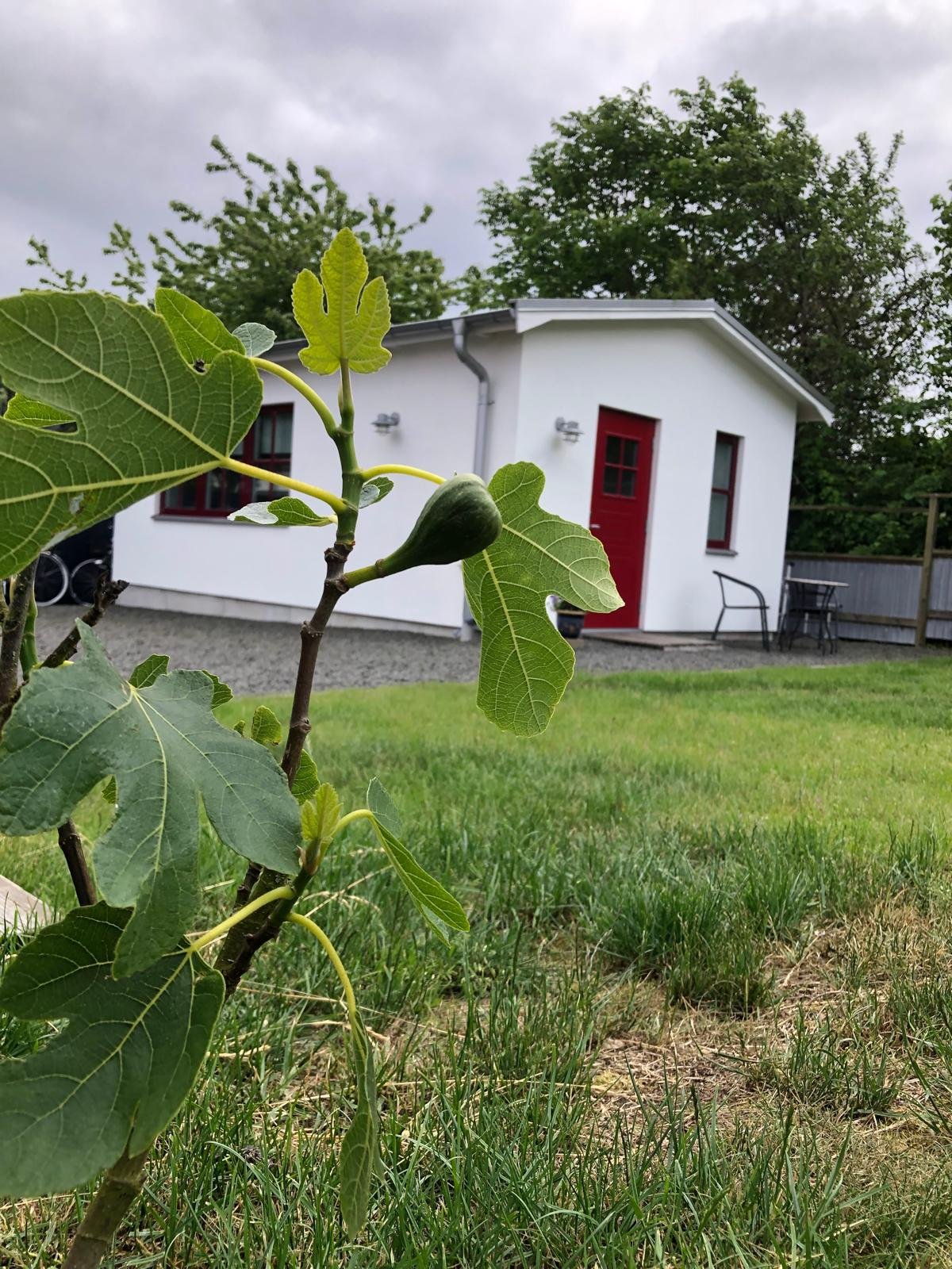 Stuga, 1 rooms, 25 sqm, Brantevik