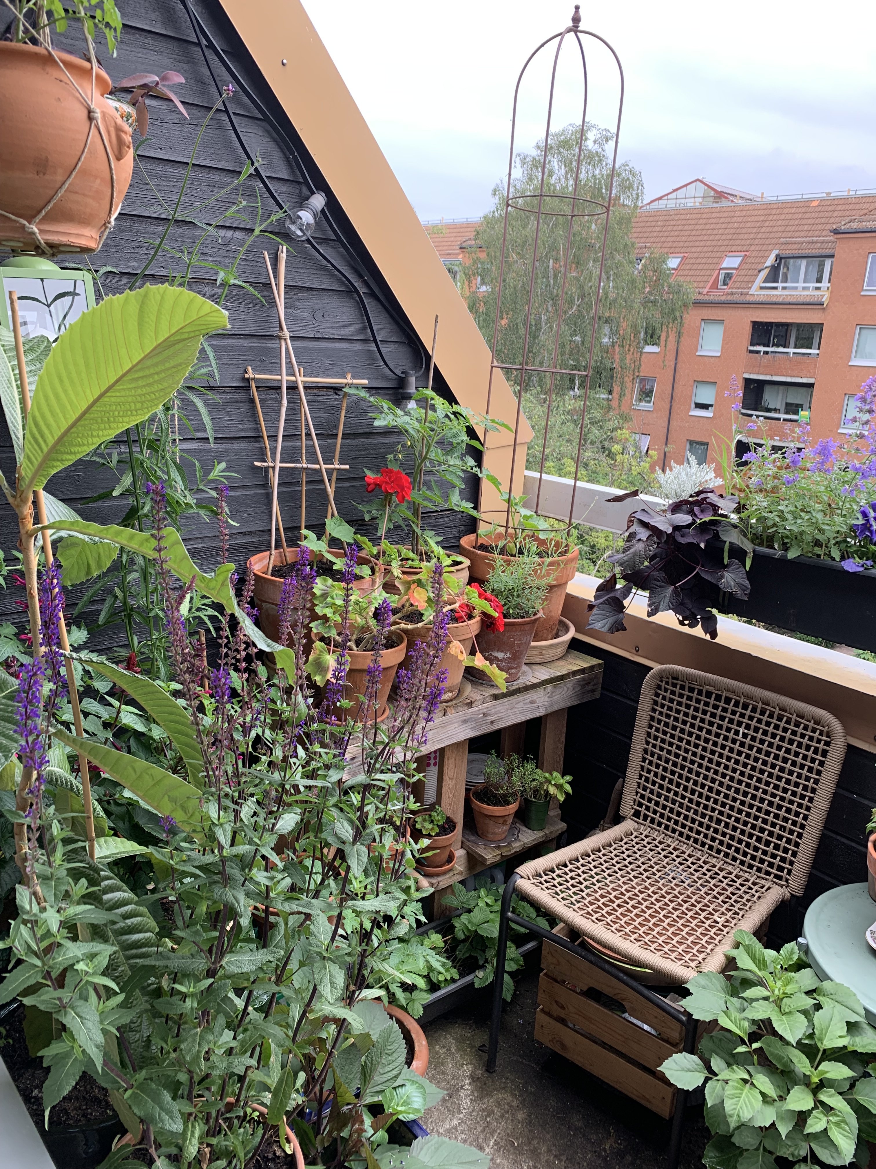 Lägenhet, 2 rooms, 52 sqm, Malmö