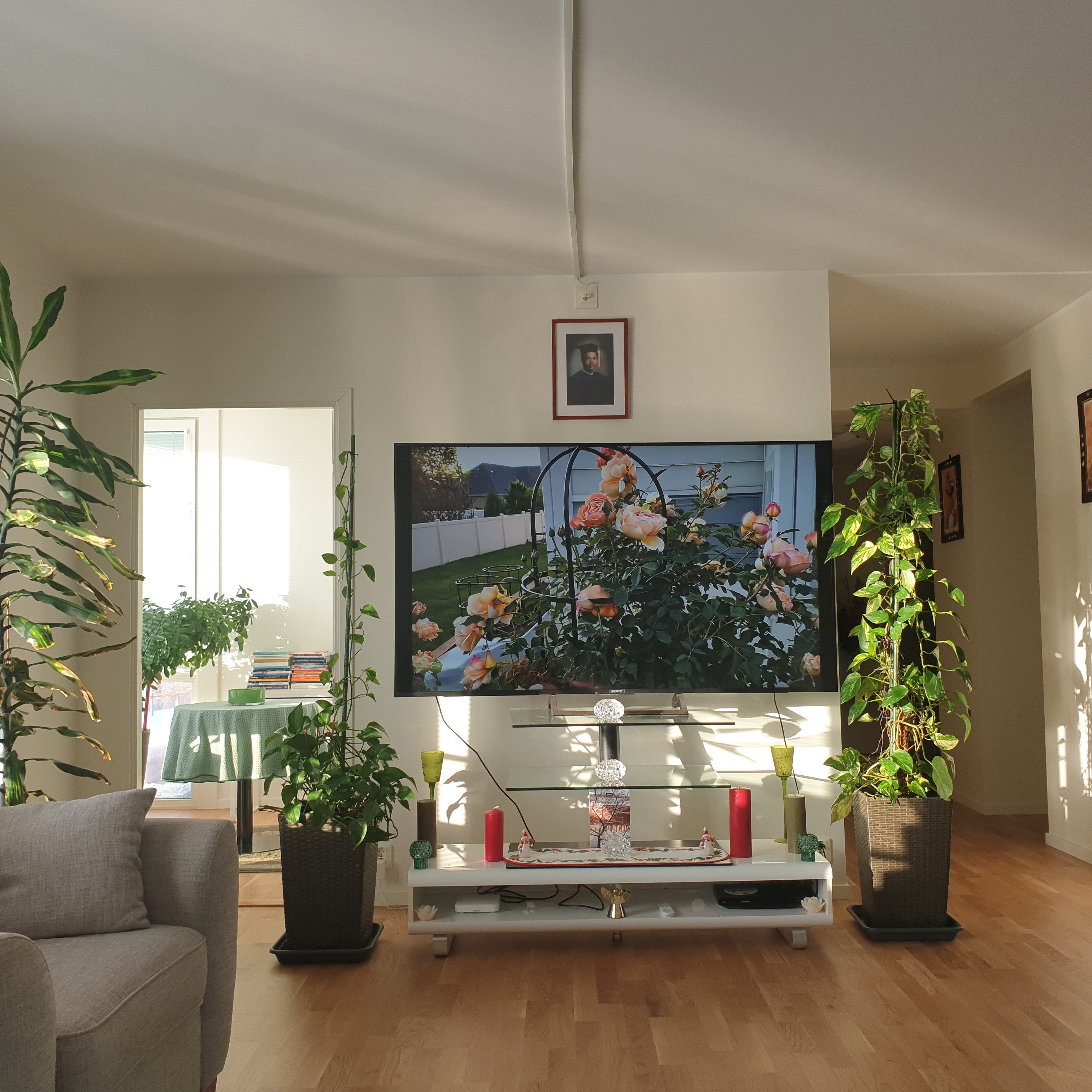 Hanstavägen, Kista — photo 2