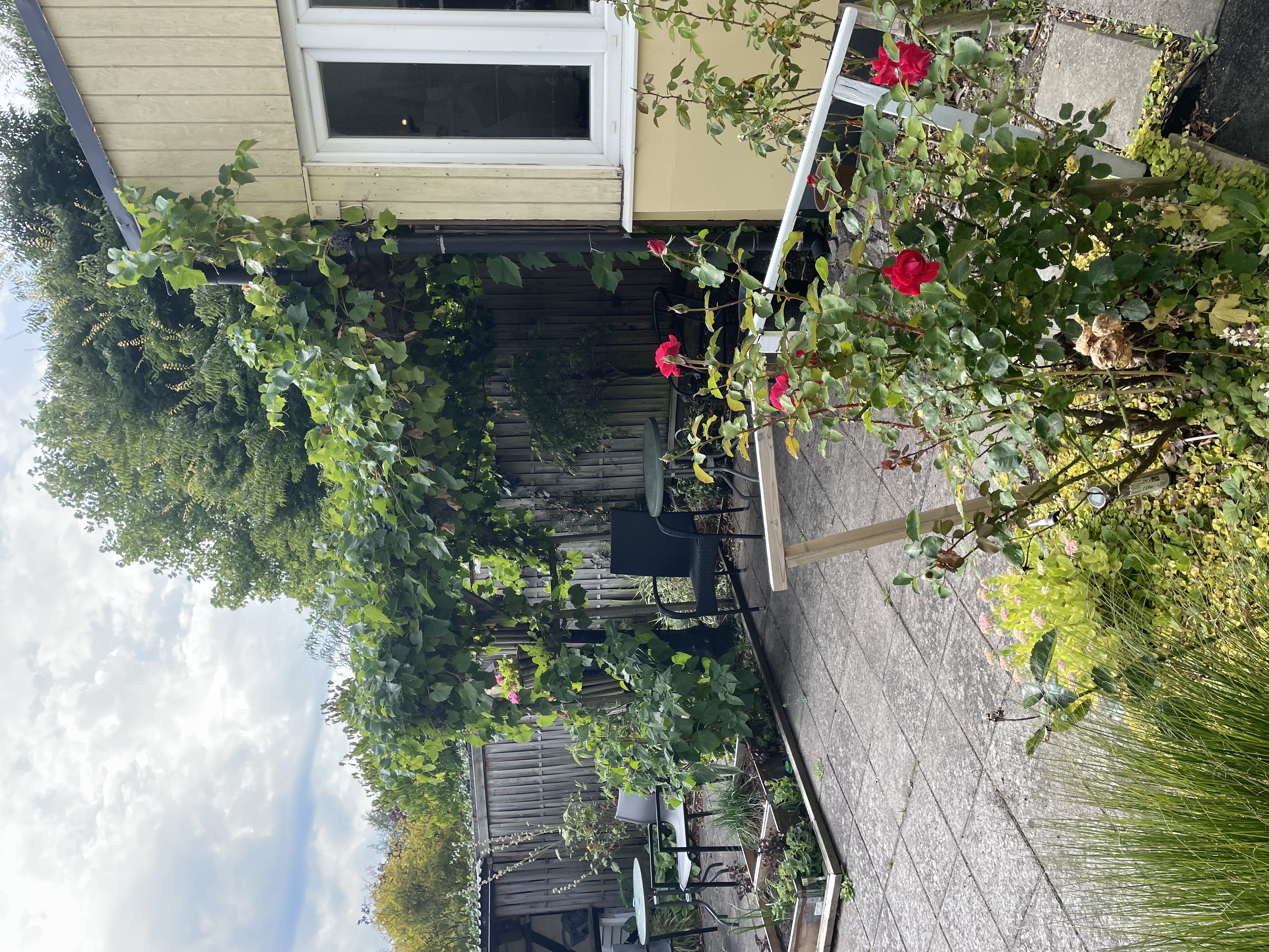 Wemmenhögsgatan 20