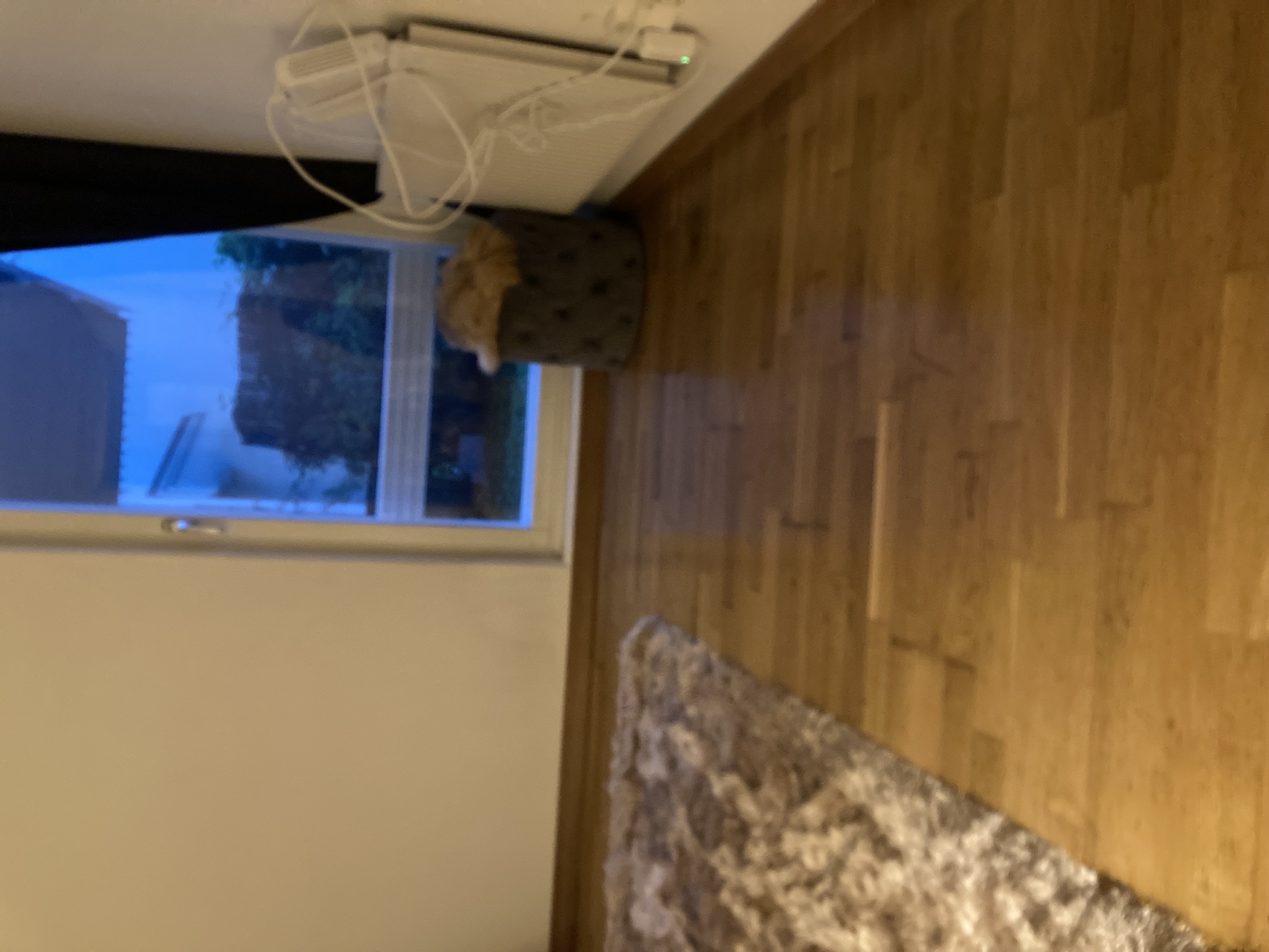 Fartygsgatan, Stockholm — photo 4