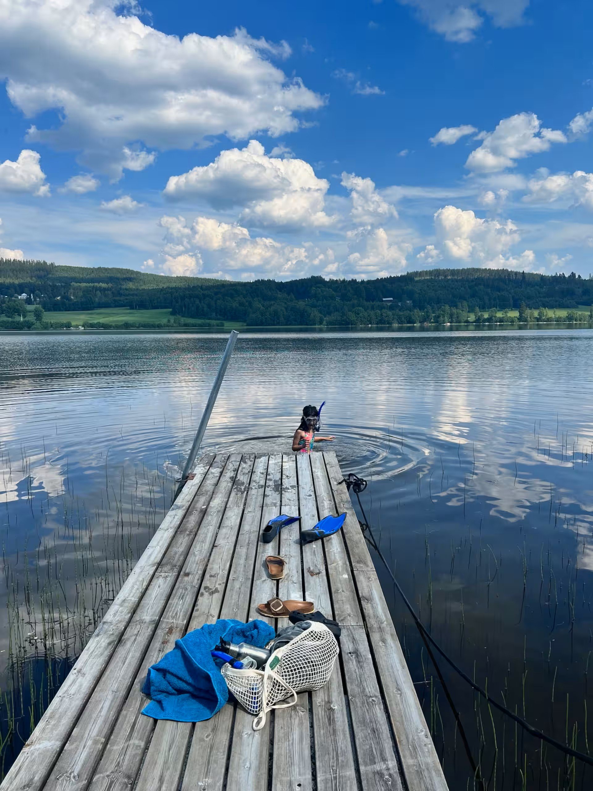 Mellansjö