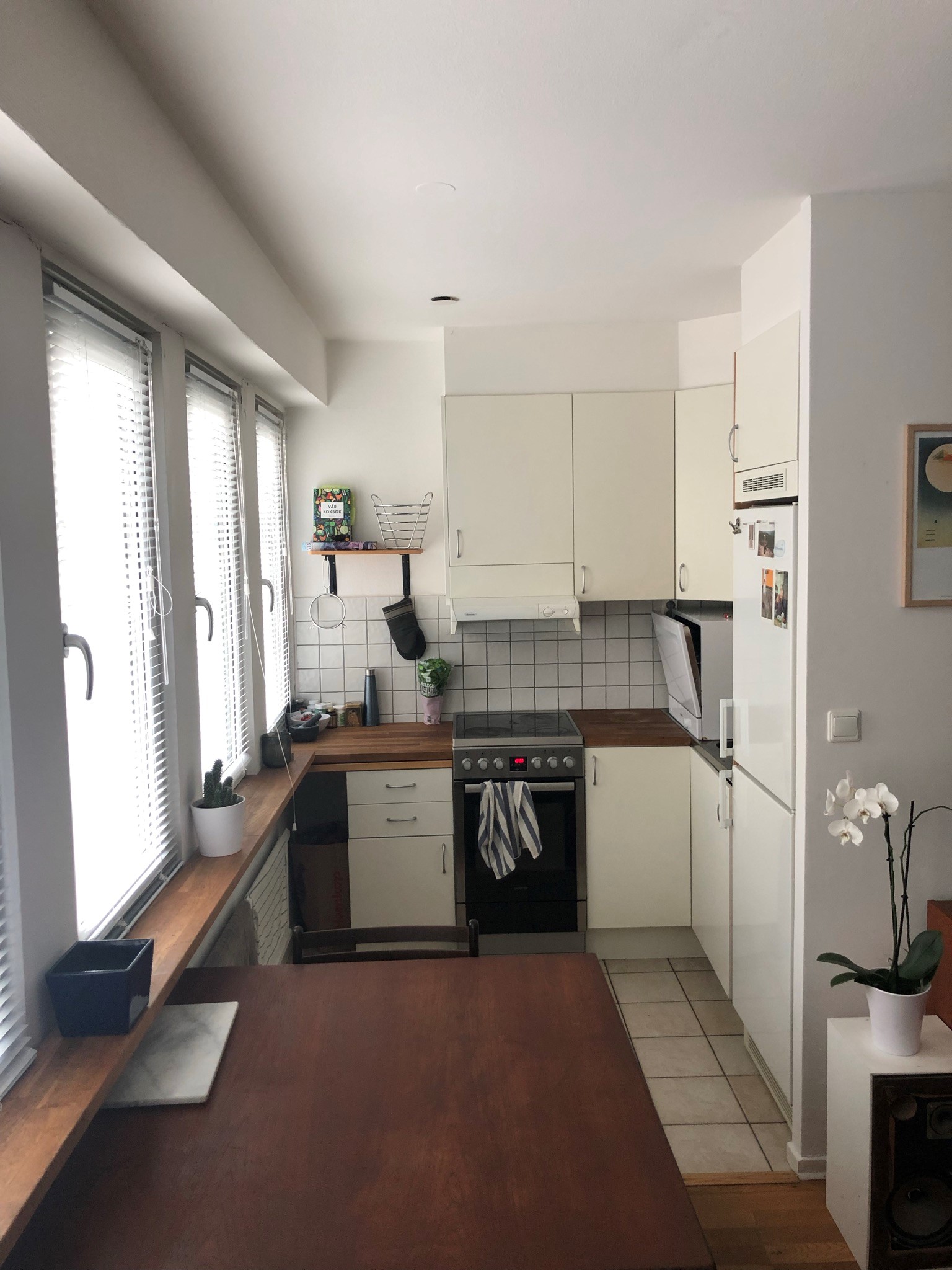 Möllevångsgatan, Malmö — photo 3