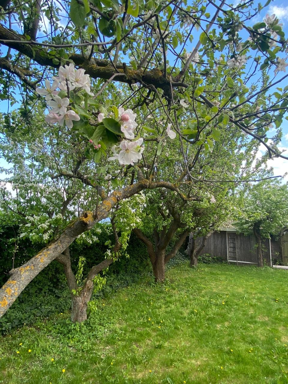 4 rok · 100 m² i Arlöv – bild 23