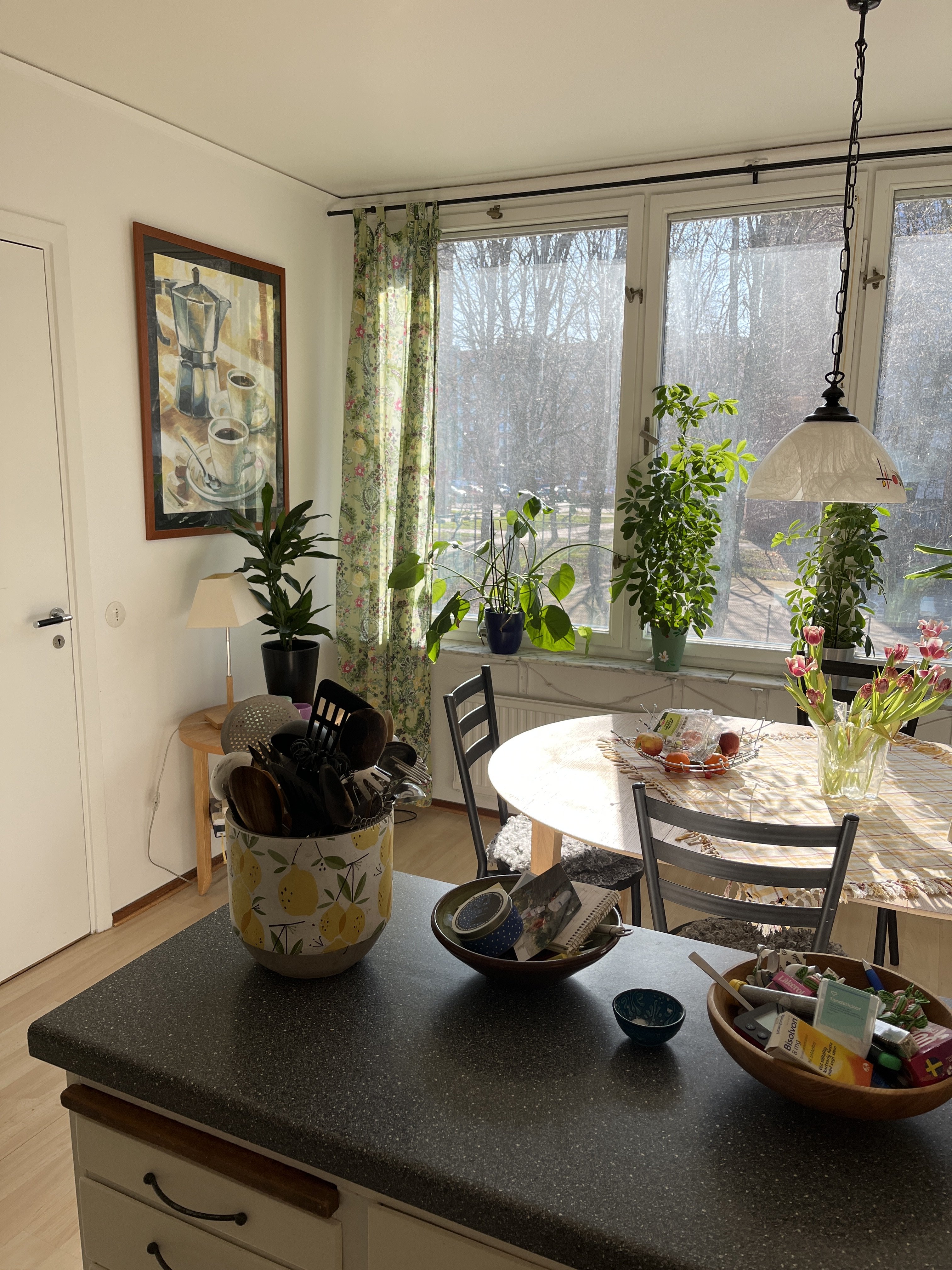 Gråvädersvägen, Lund — photo 4