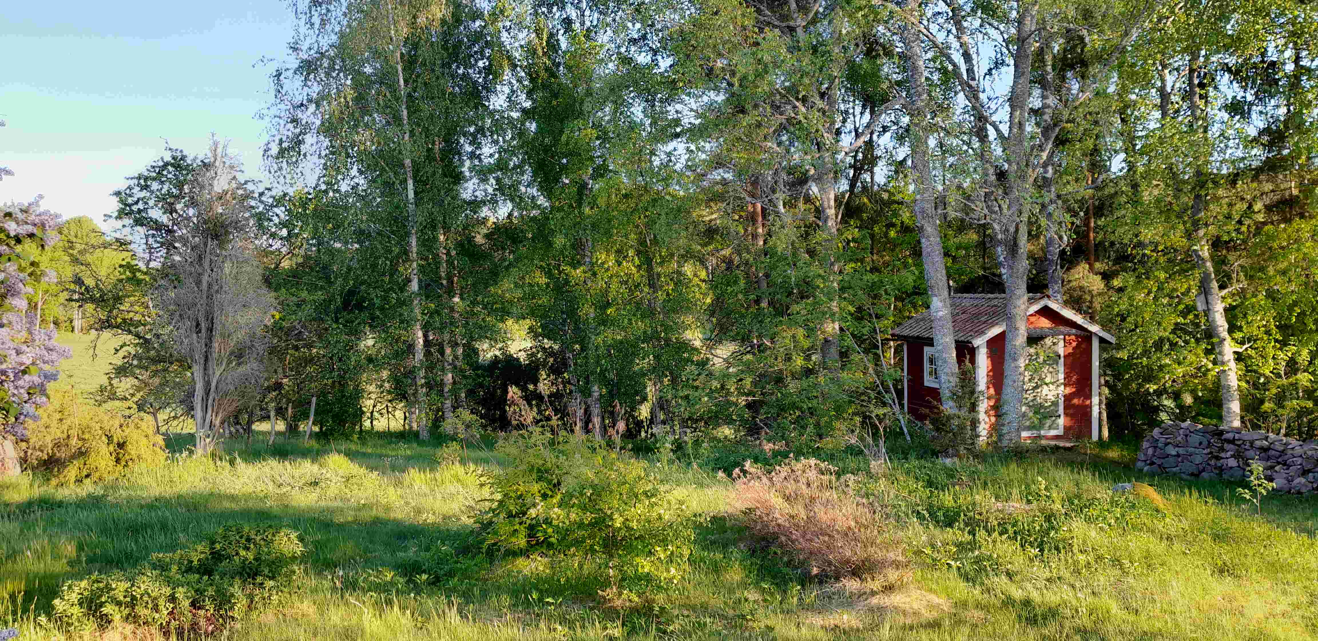 Stuga, 1 rooms, 40 sqm, Ringarum