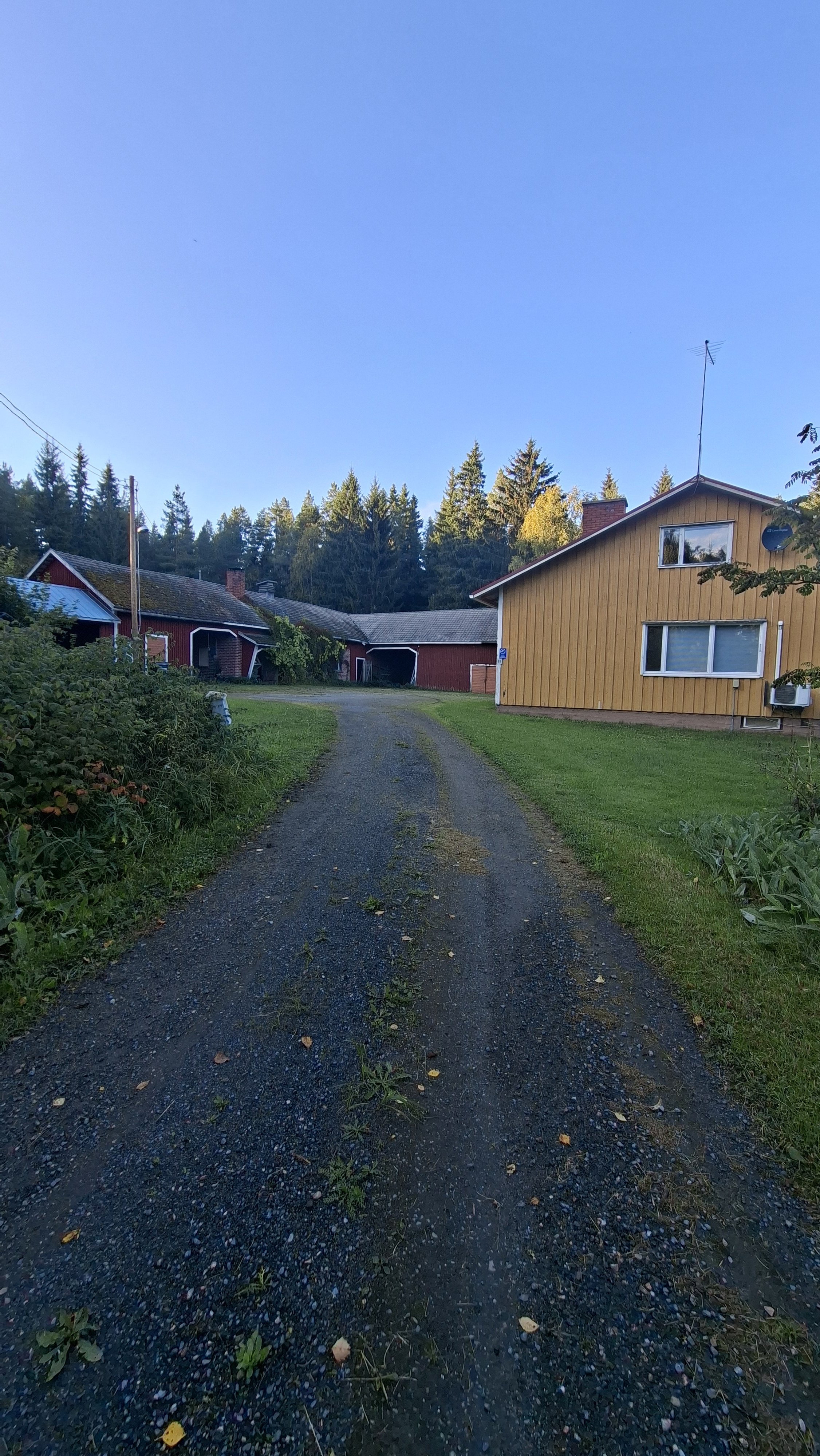 Suuri omakotitalo metsän keskellä 1