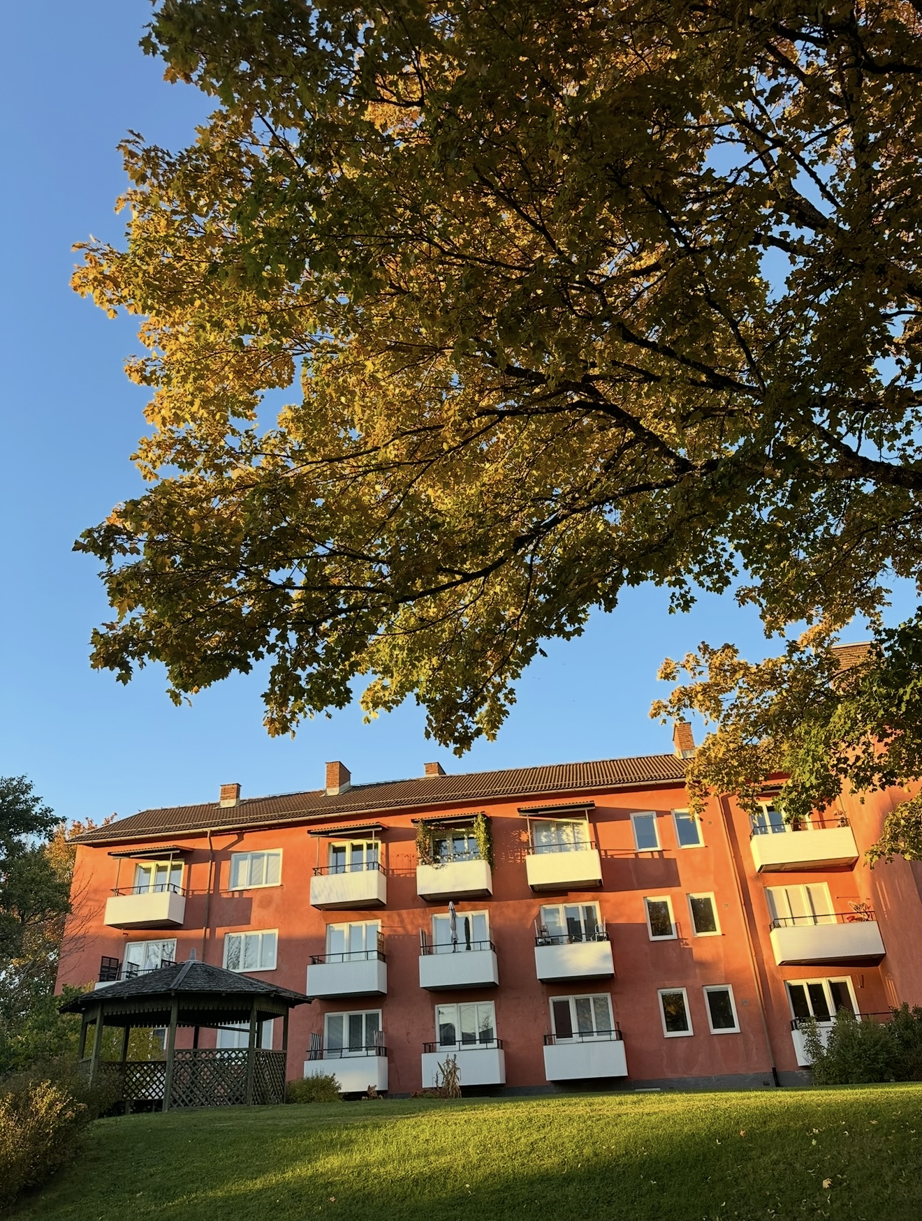 Svartbäcksgatan, Uppsala — photo 4