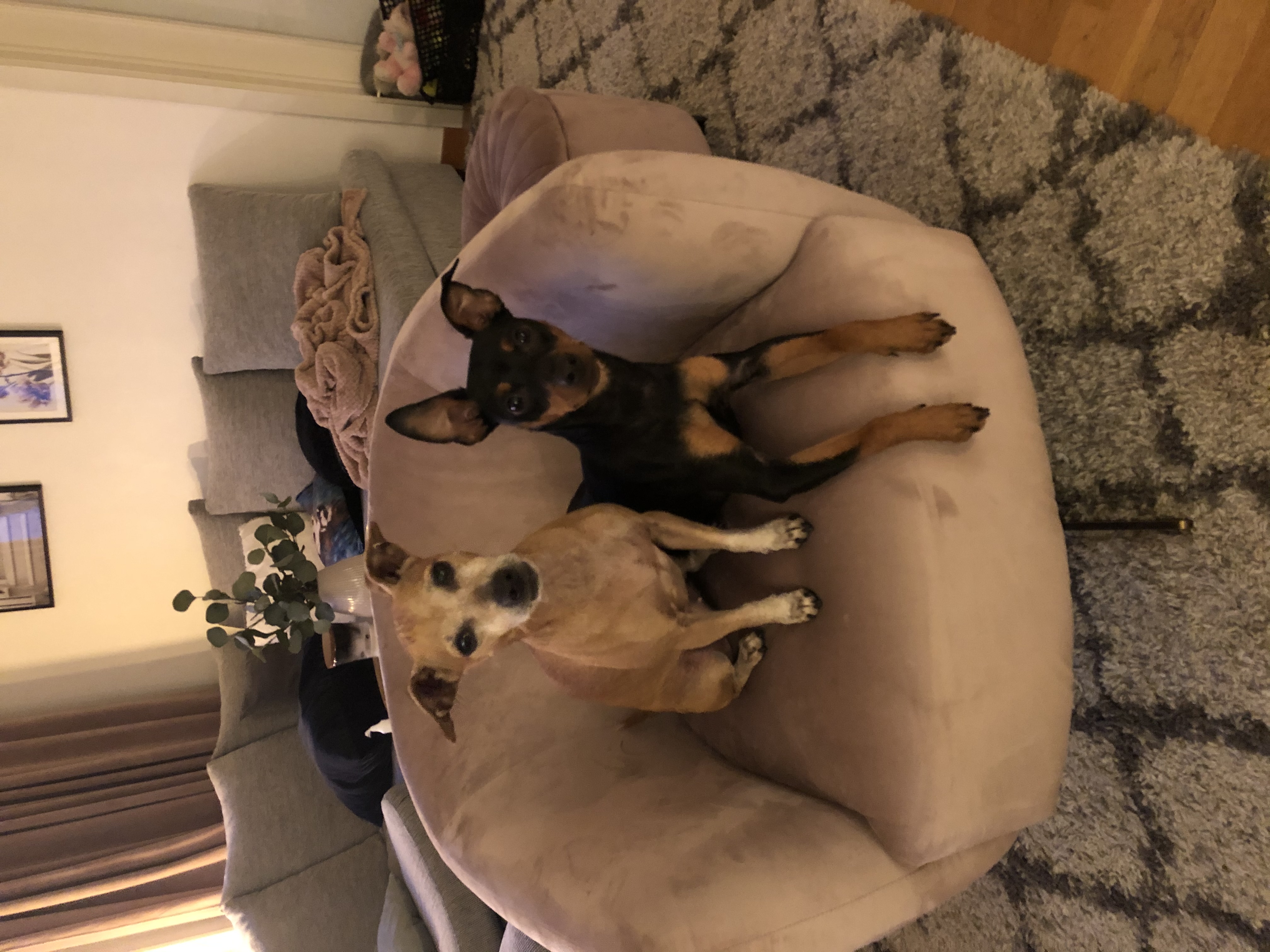 Tigerstigen, Västra Frölunda — photo 5