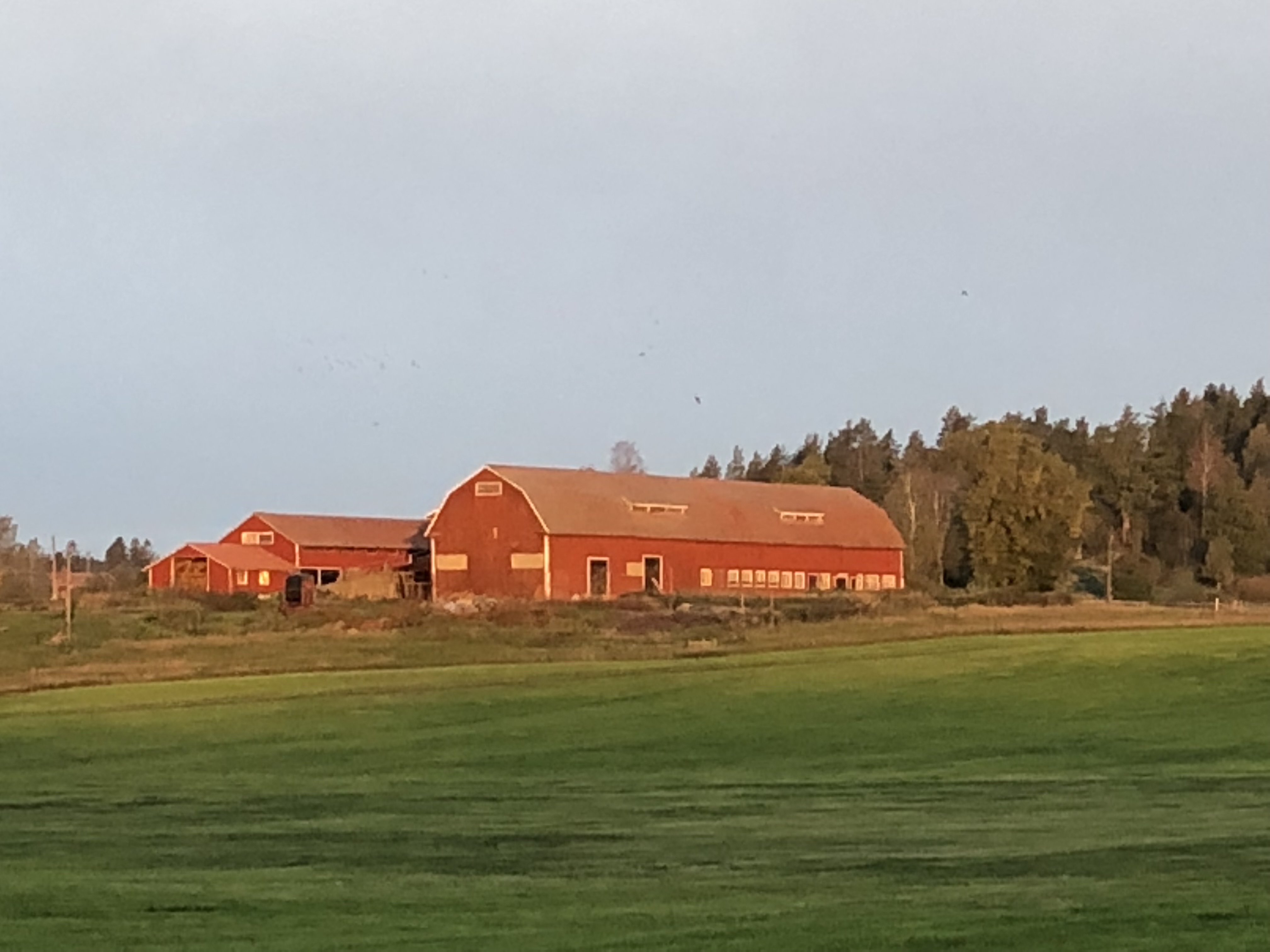Lägenhet, 3 rooms, 80 sqm, Gamleby