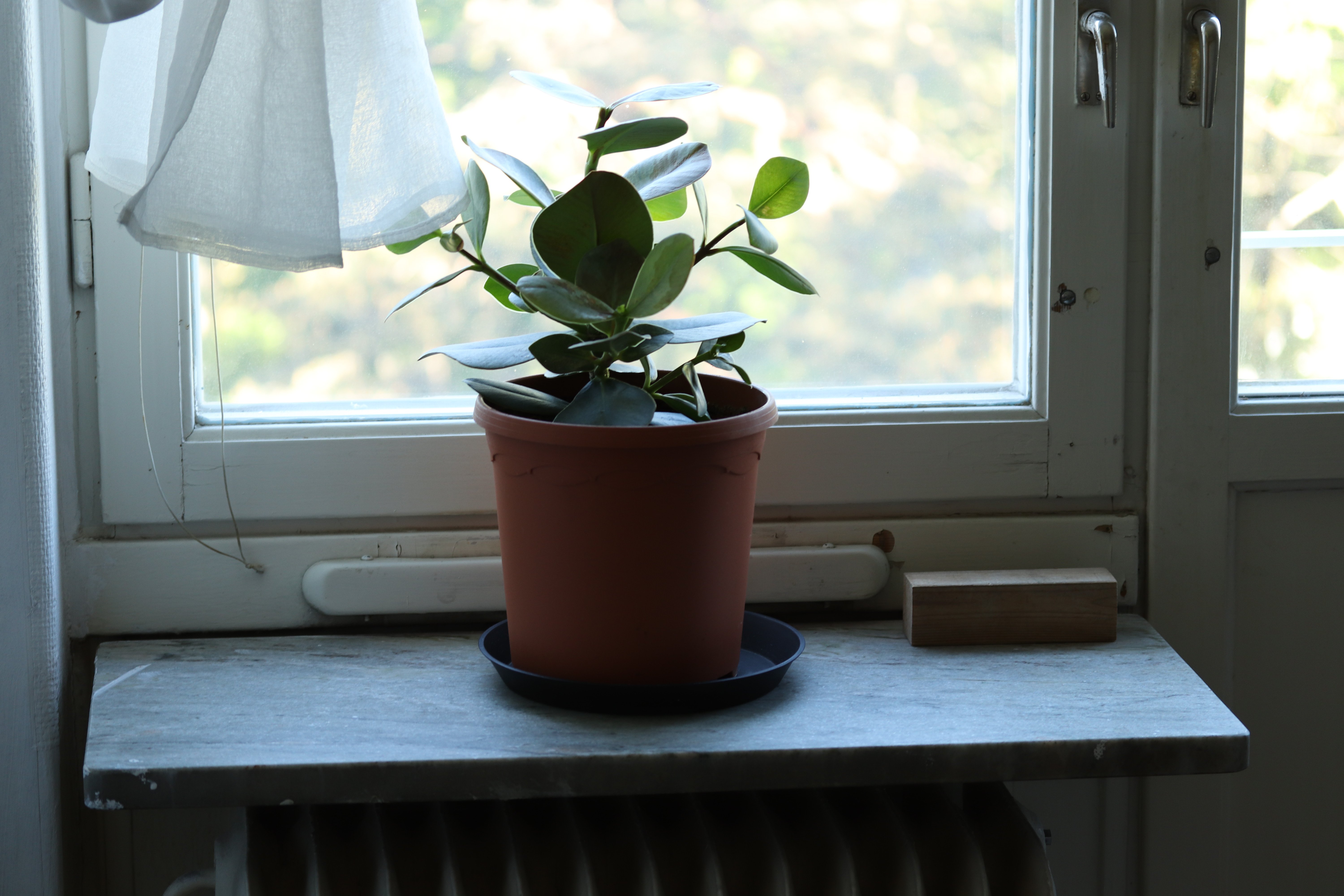 Lägenhet, 1 rooms, 16 sqm, Hägersten