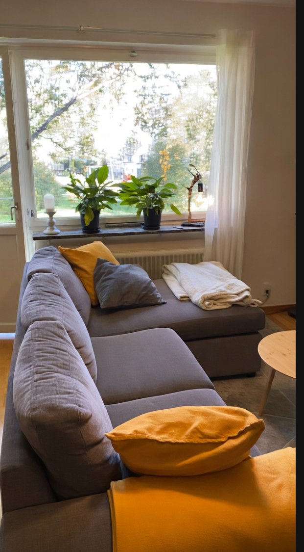 Häradshövdingegatan, Umeå — photo 2