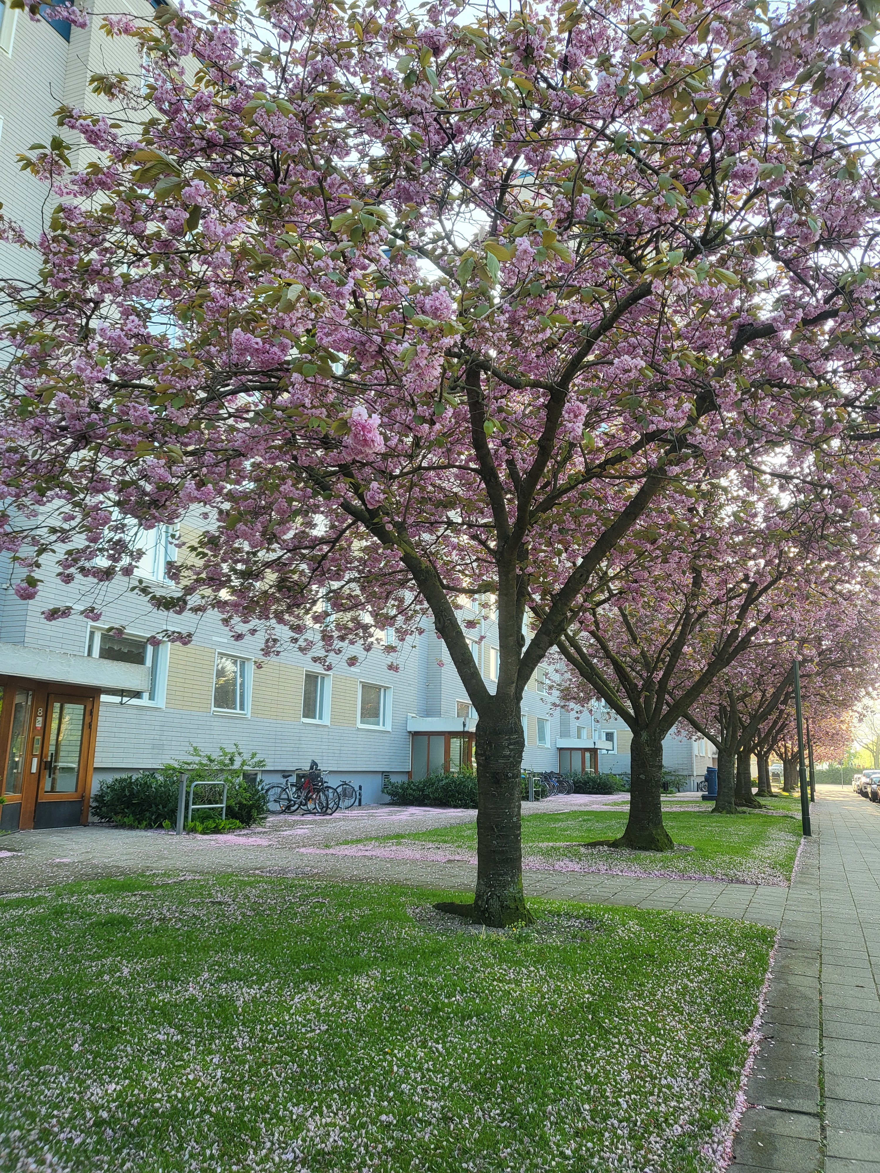 Ingenjörsgatan, Malmö