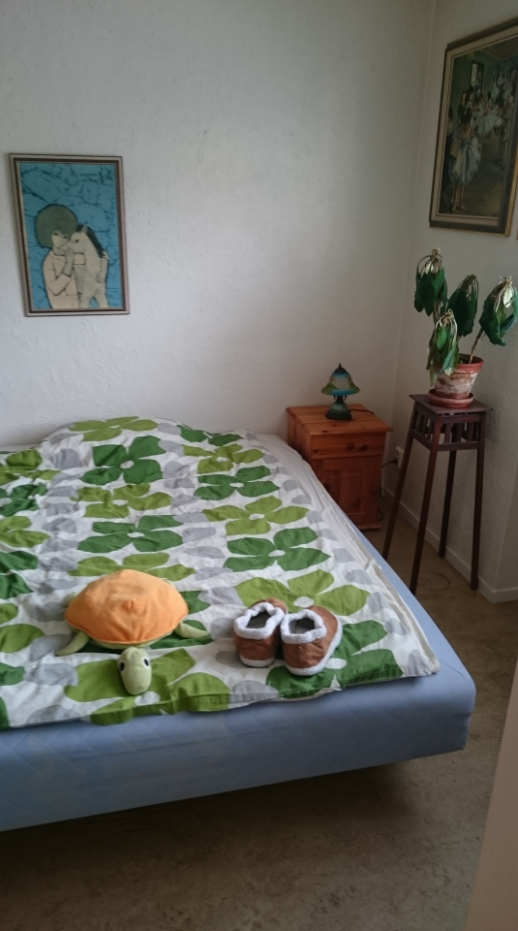 Lägenhet, 1 rooms, 25 sqm, Bandhagen