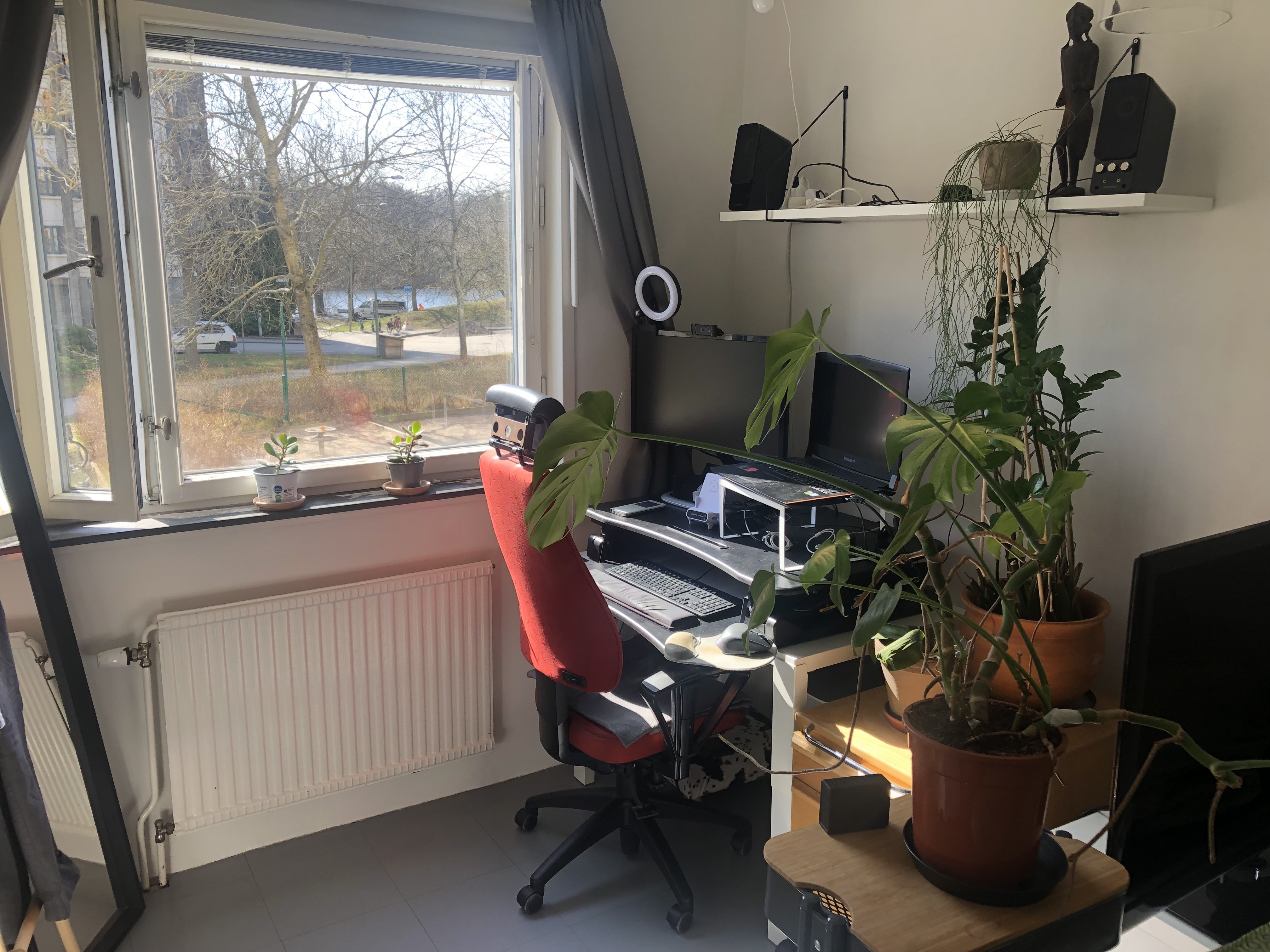 Tantogatan, Stockholm — photo 5