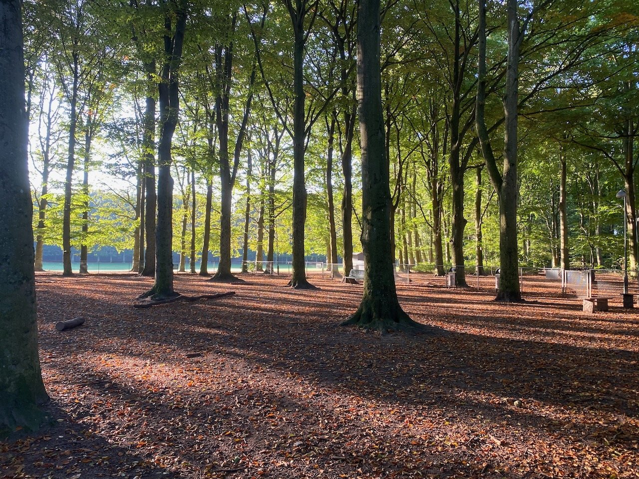 Kronborgsvägen, Malmö — photo 4