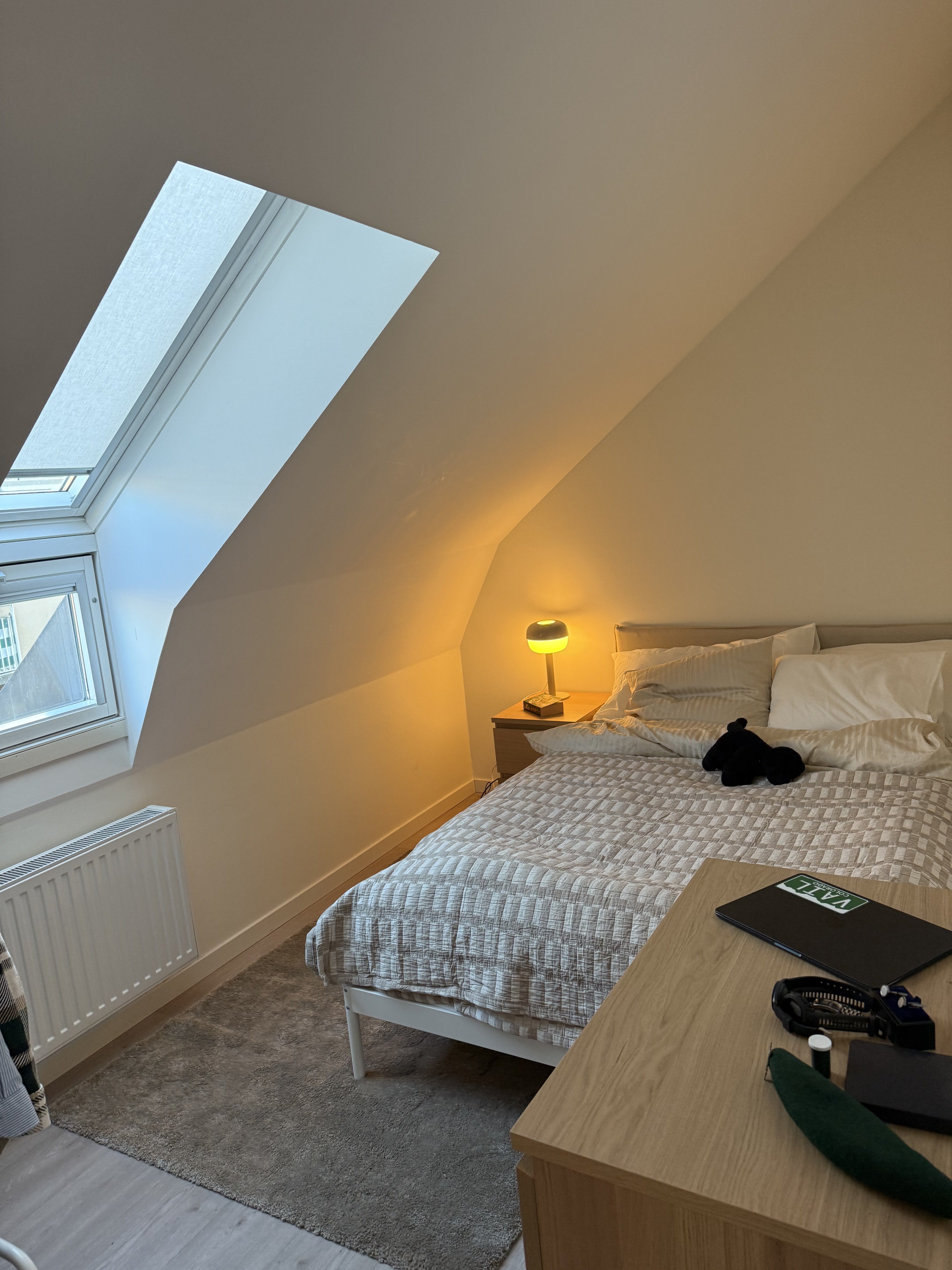Grönegatan, Lund — photo 2