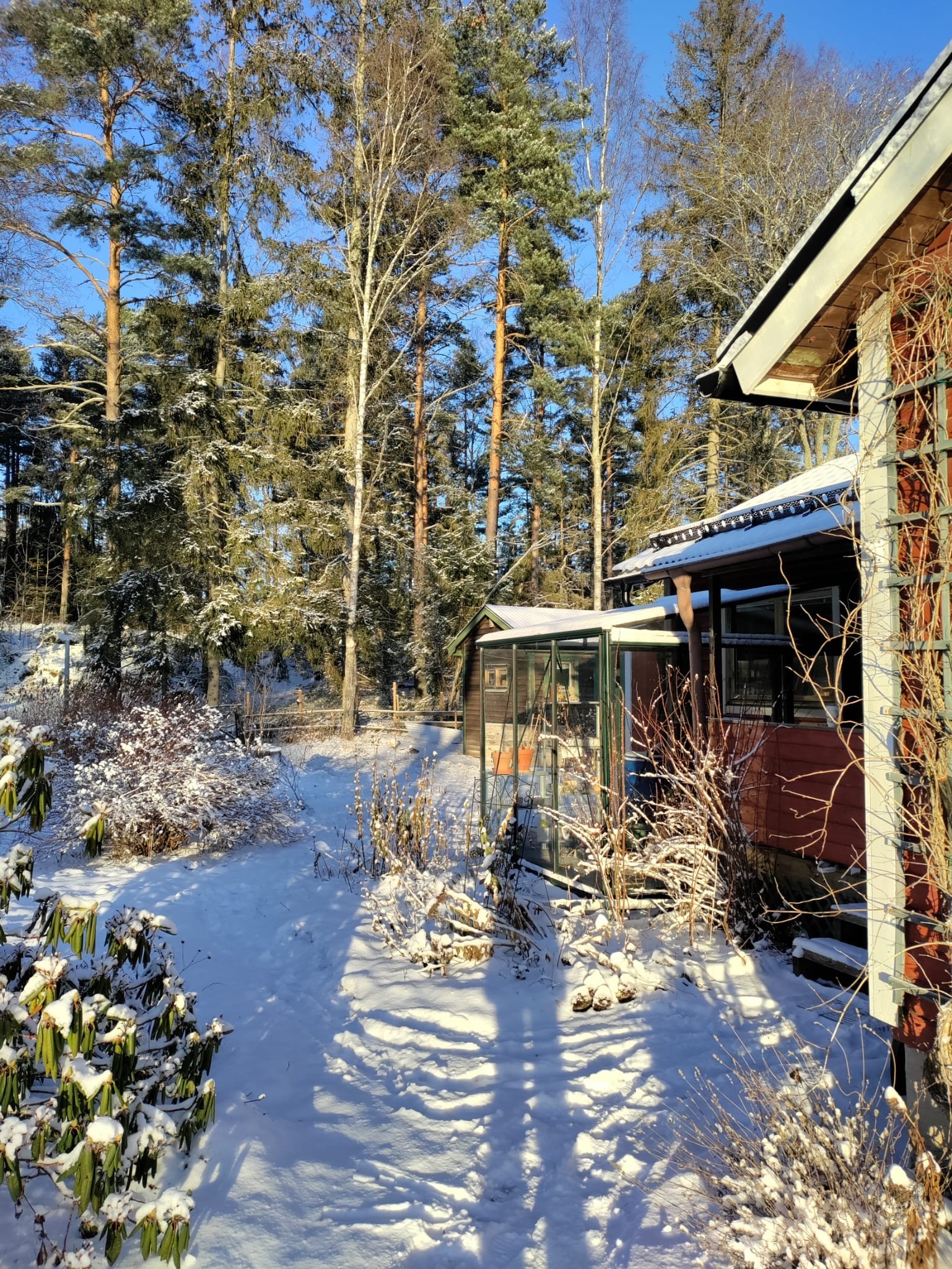 Hästskovägen