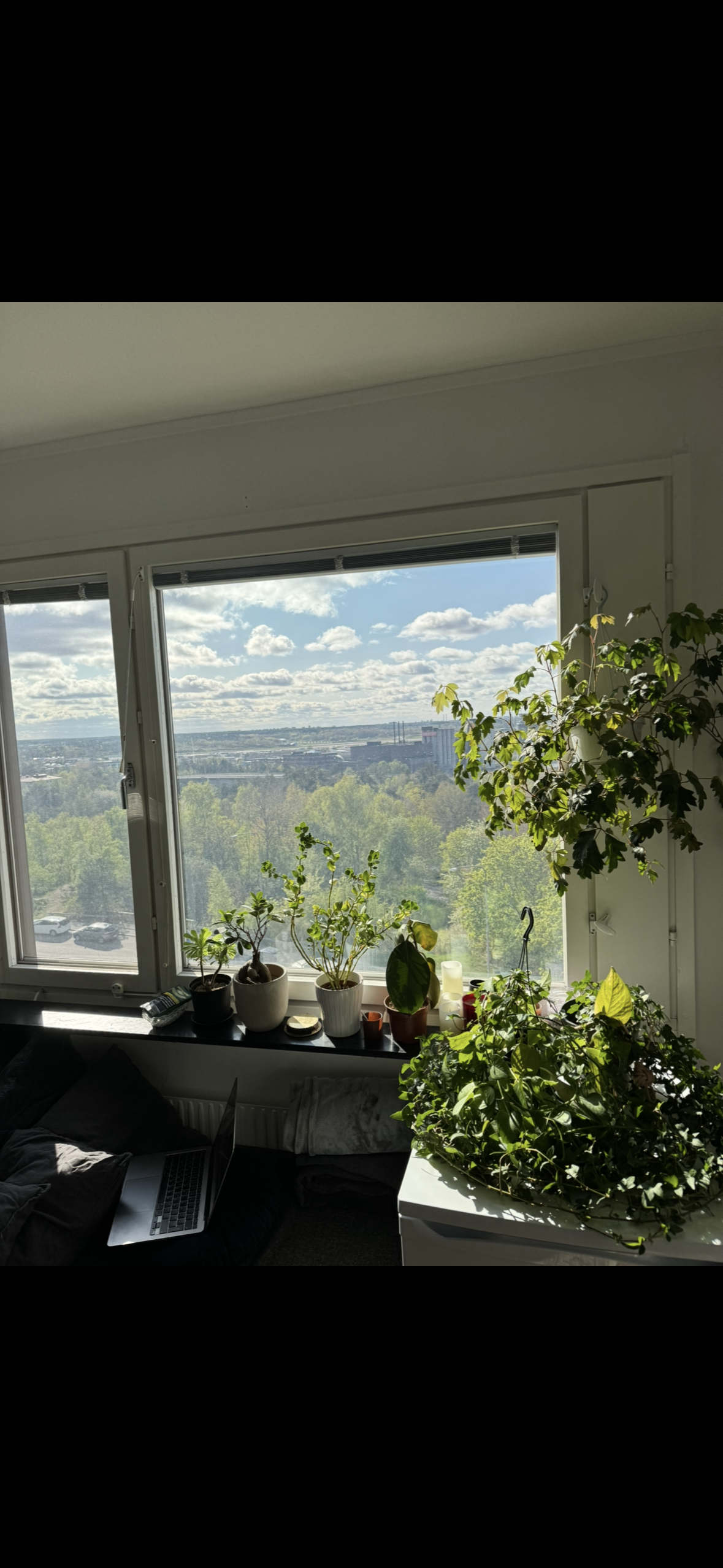Jungfrudansen