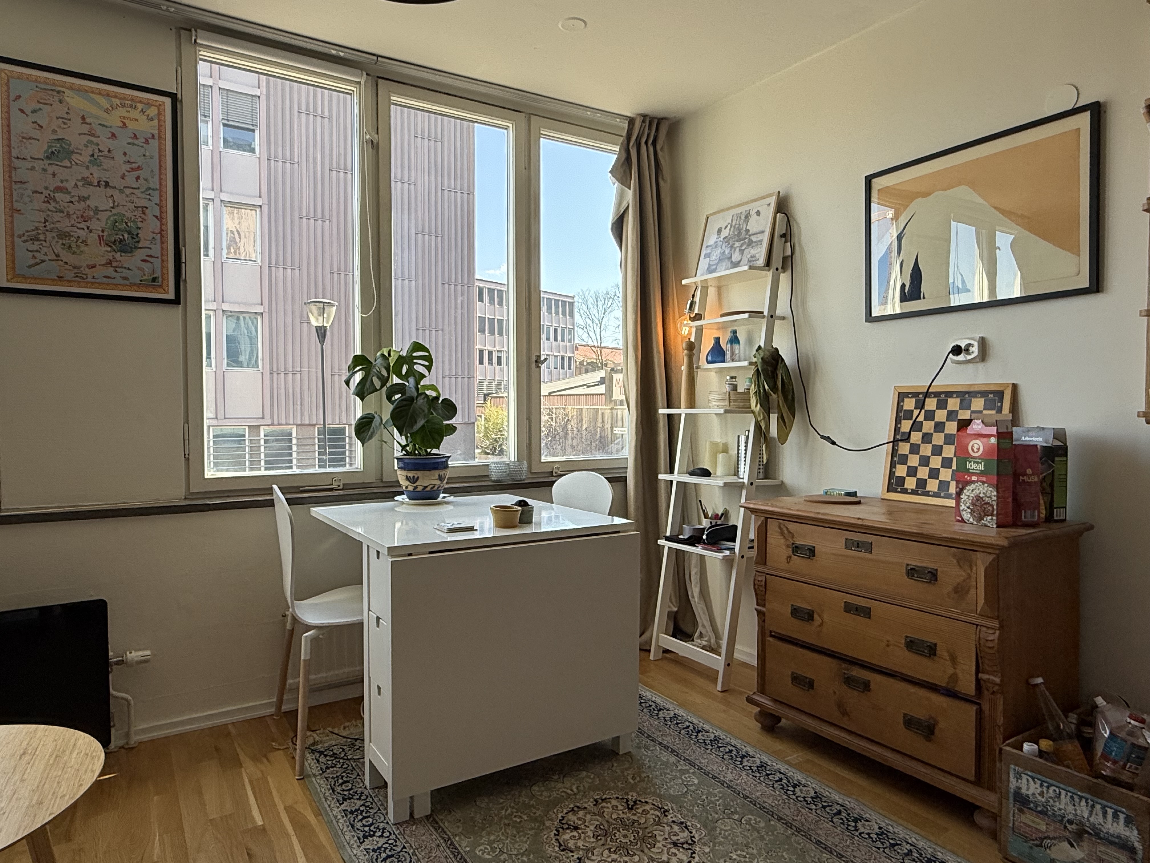 Mattssonsliden, Göteborg — photo 5