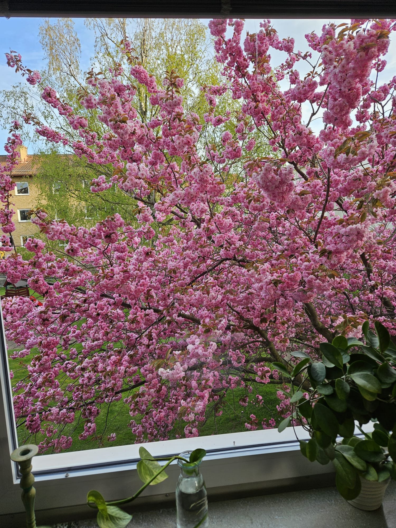 Lägenhet – Malmö, Dammfri - Bild 5