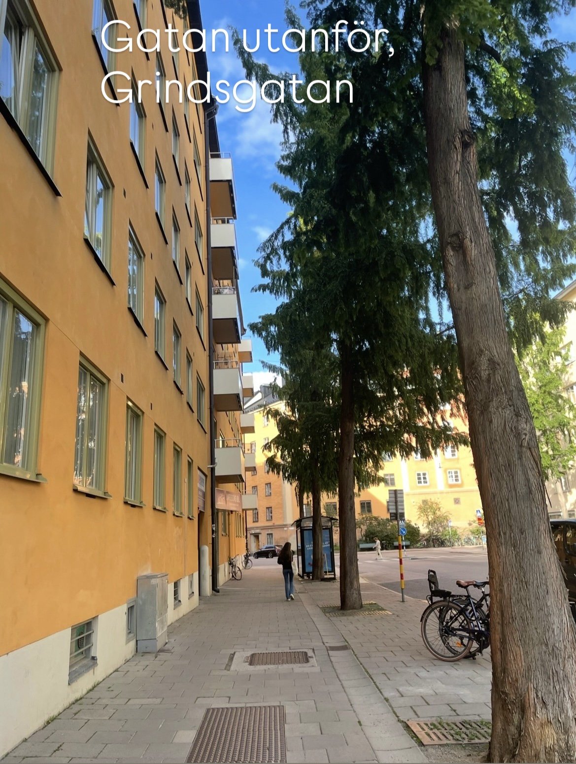 Ringvägen