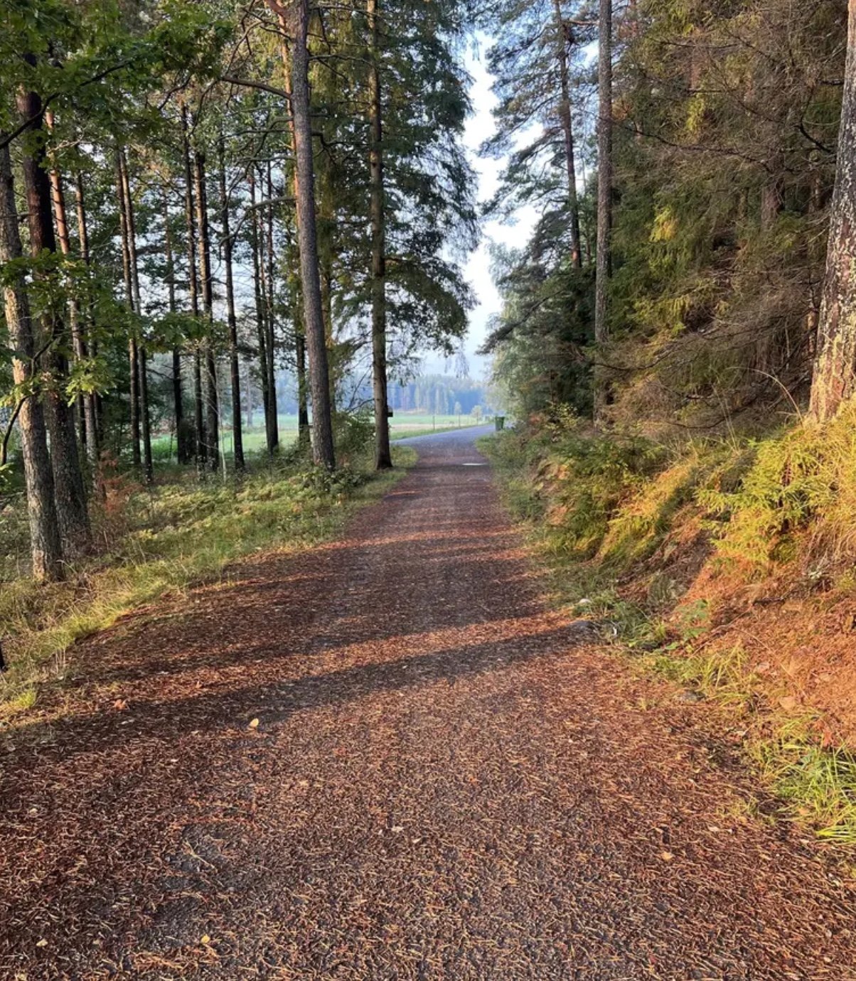 Hus – Huddinge, Gladö Kvarn, Stockholms län - Bild 5