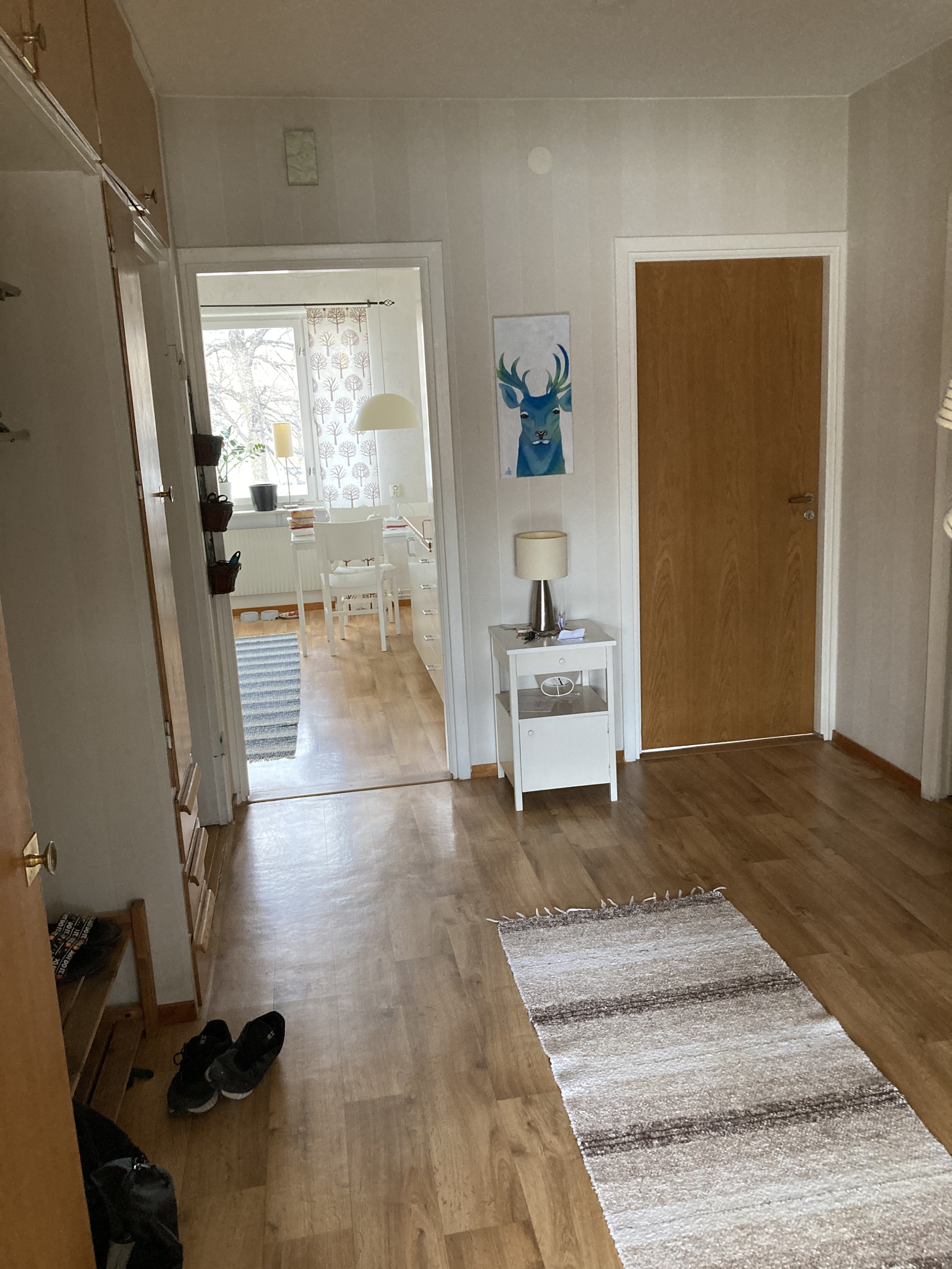 Skolgatan, Umeå — photo 2