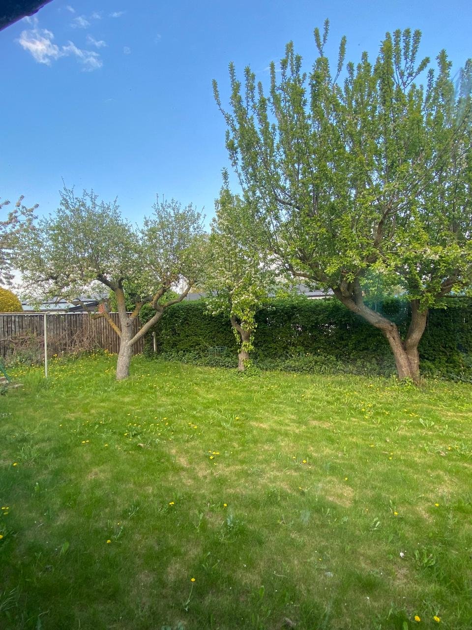 4 rok · 100 m² i Arlöv – bild 16