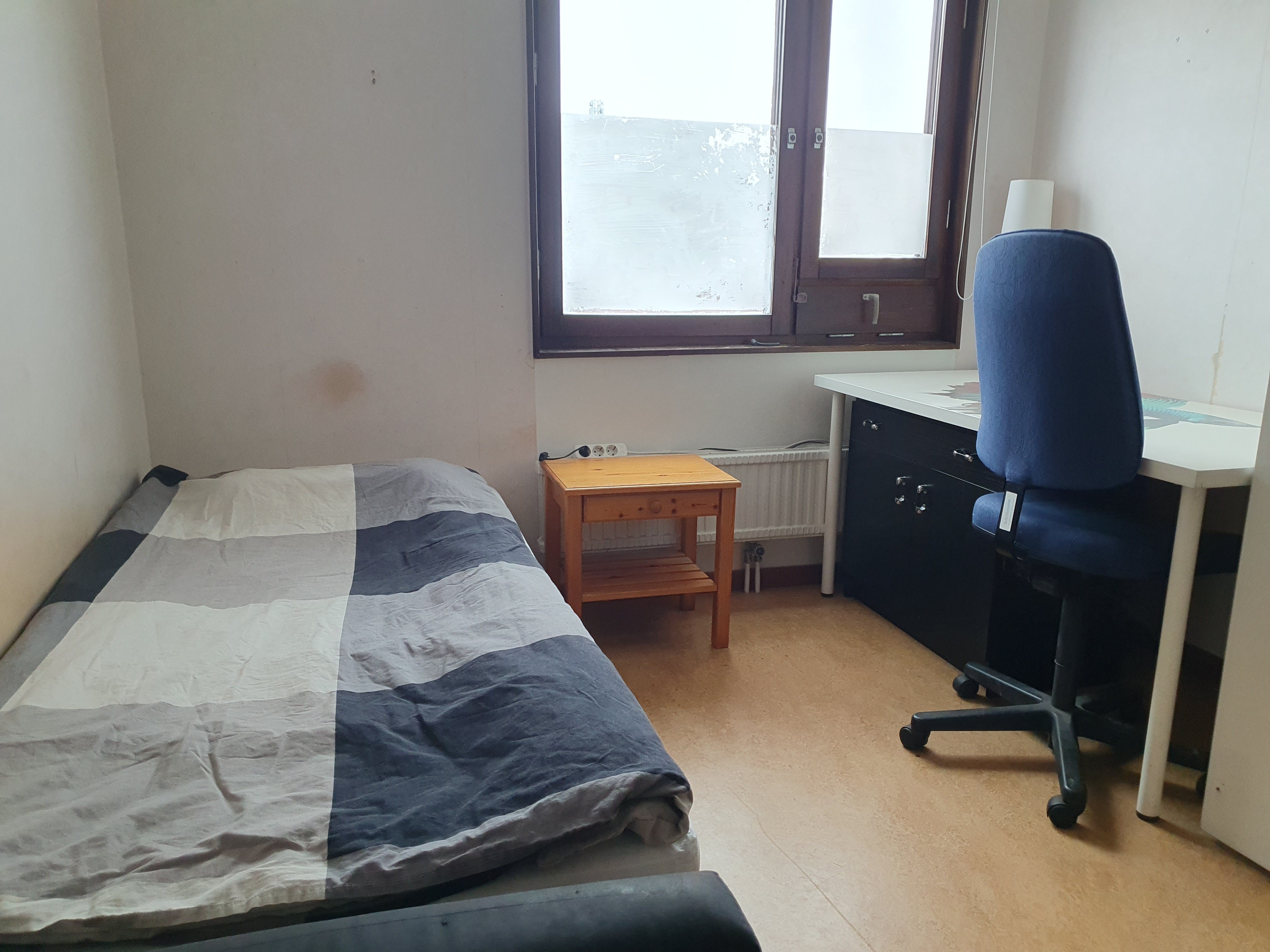 Bröderna Berwalds väg