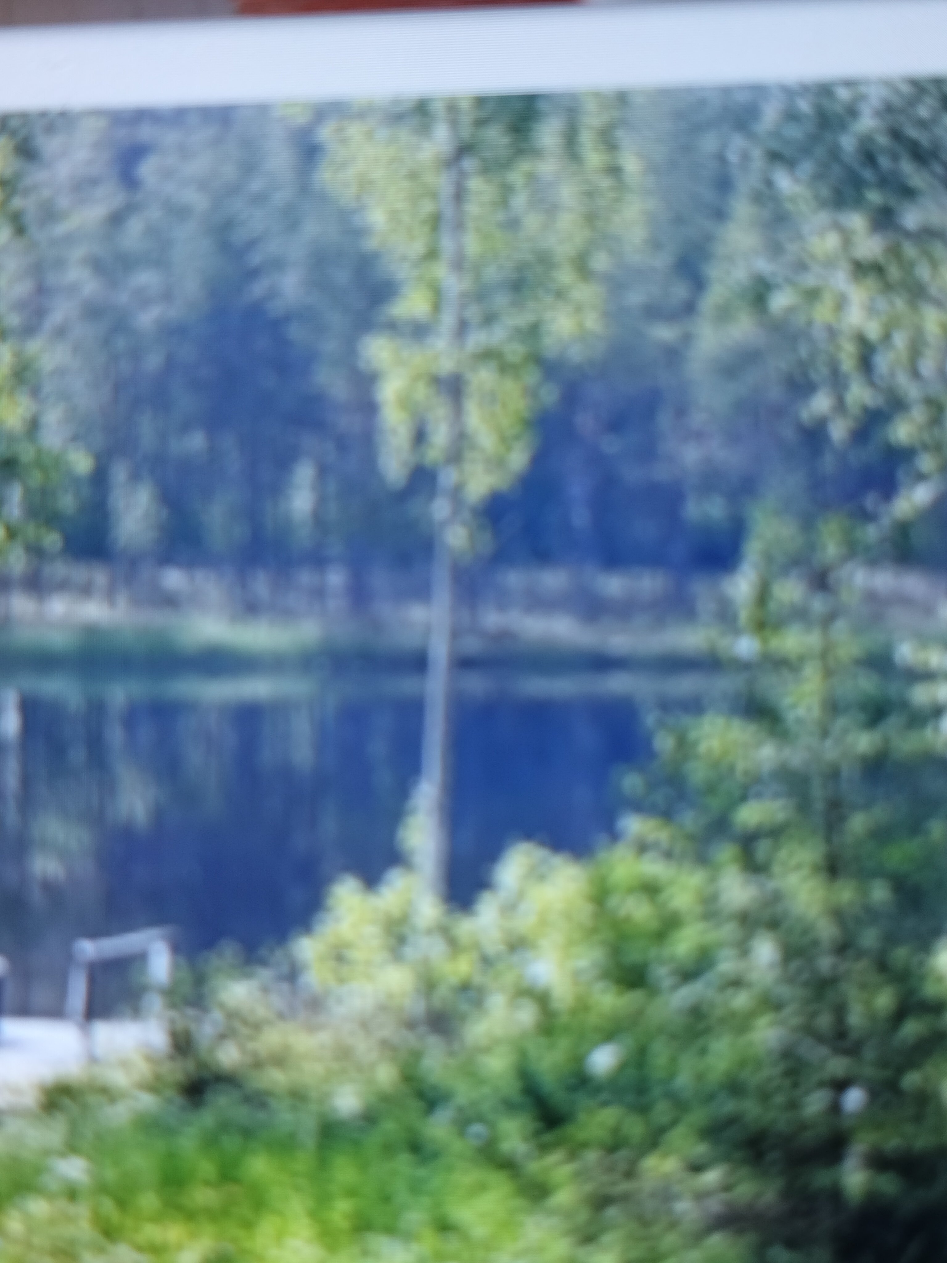 Vuokrattavana ihana uudehko mökki luonnonrauhassa 5