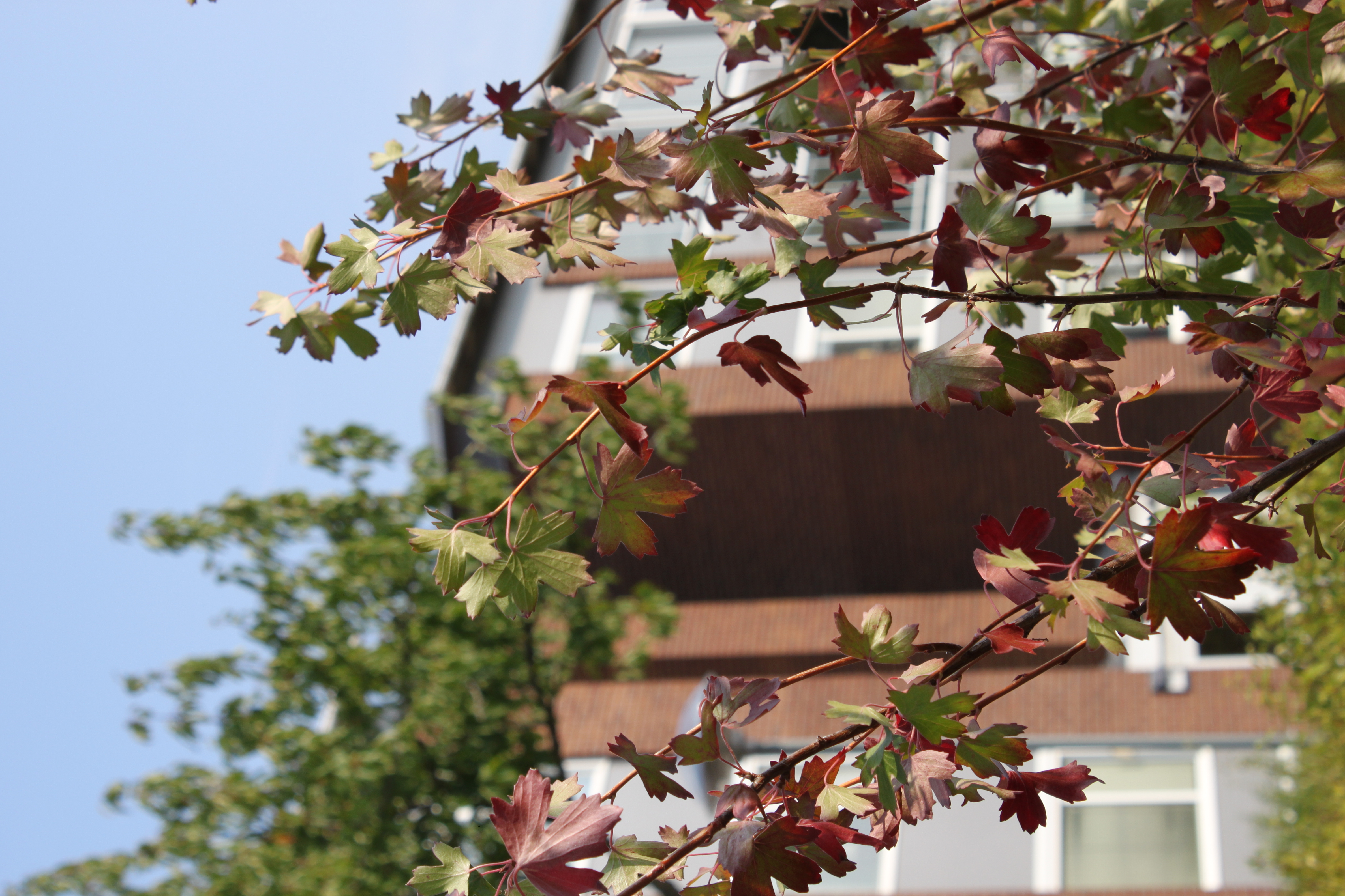 Lägenhet, 3 rooms, 82 sqm, Kalmar