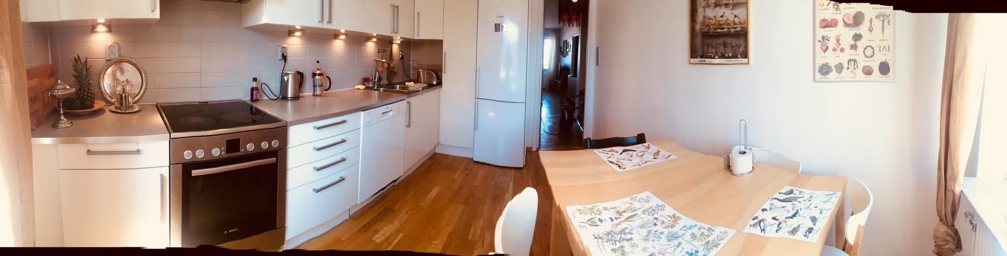 Dahlströmsgatan, Göteborg — photo 4