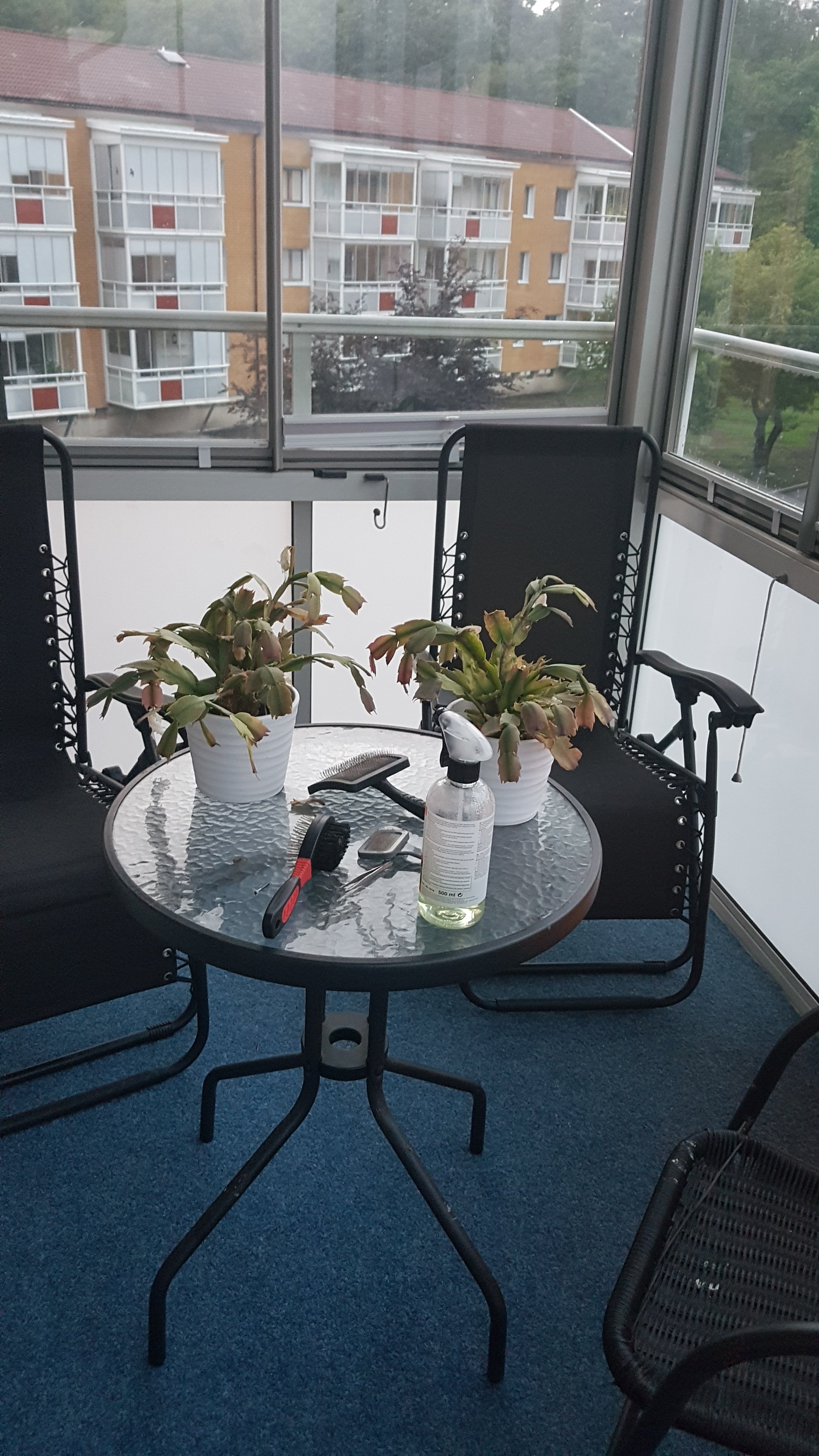 2 rok · 53 m² i Göteborg – bild 14