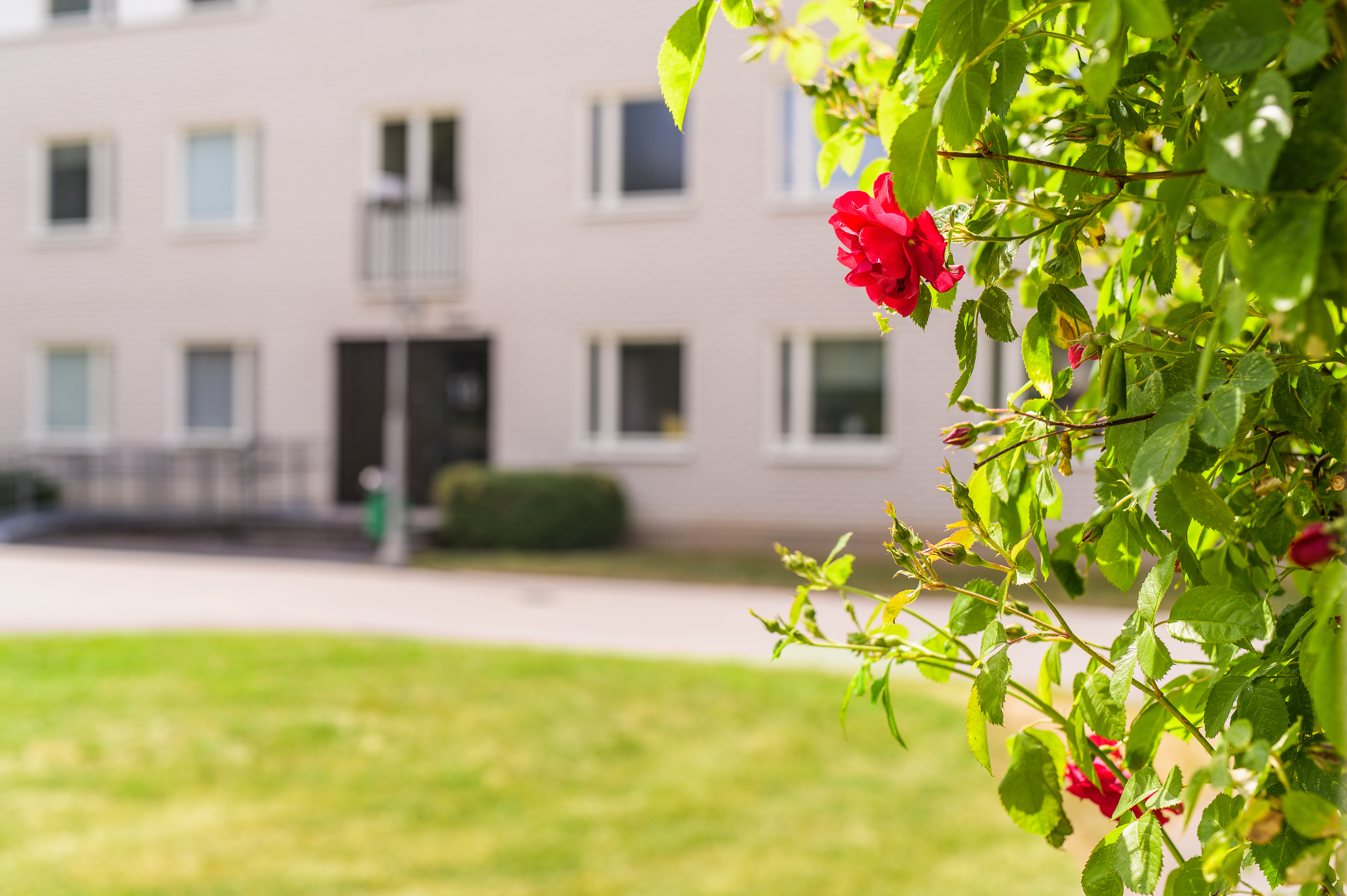 Lägenhet, 3 rooms, 81 sqm, Linköping