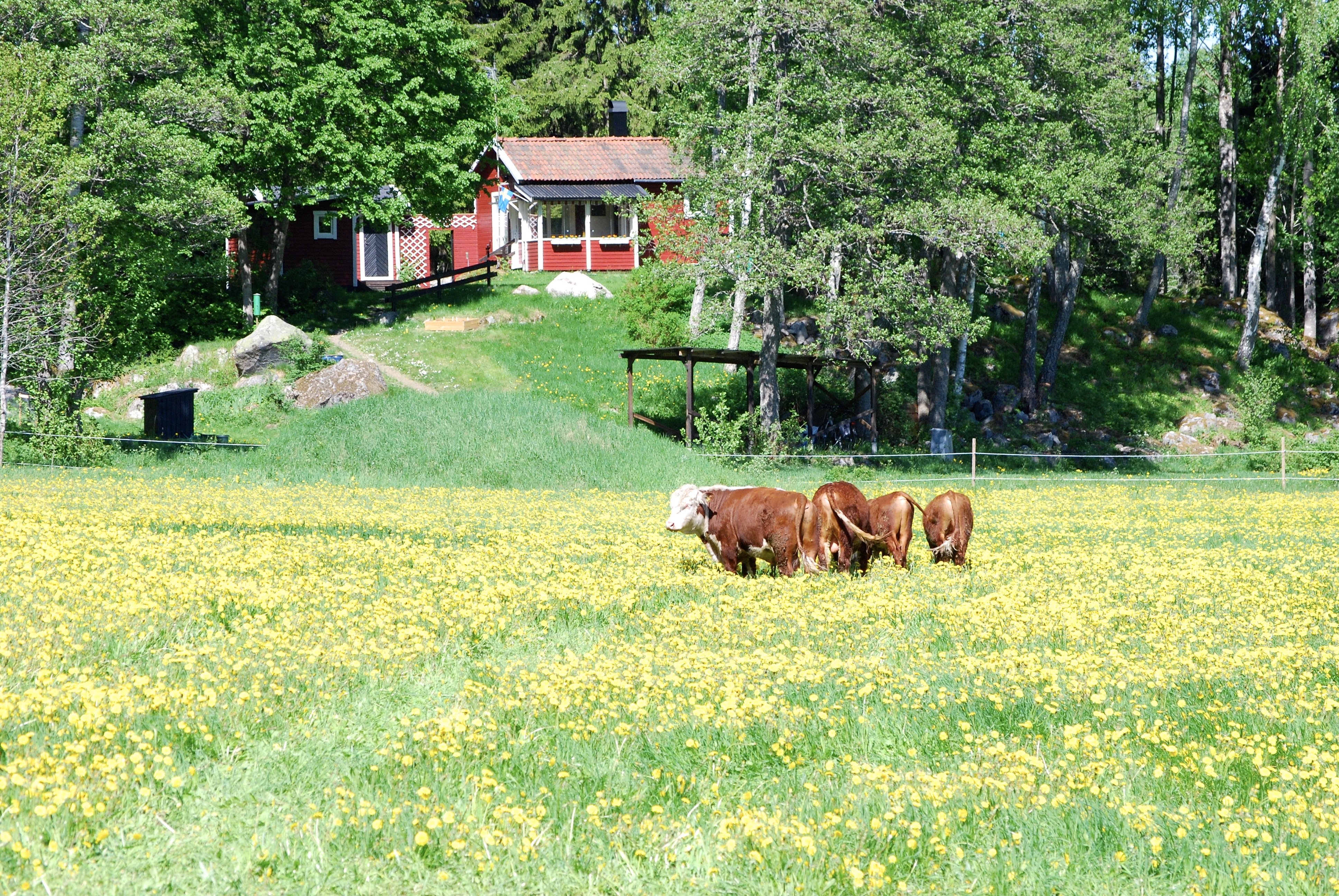 Hus – Norrtälje kommun, Stockholms län - Bild 2