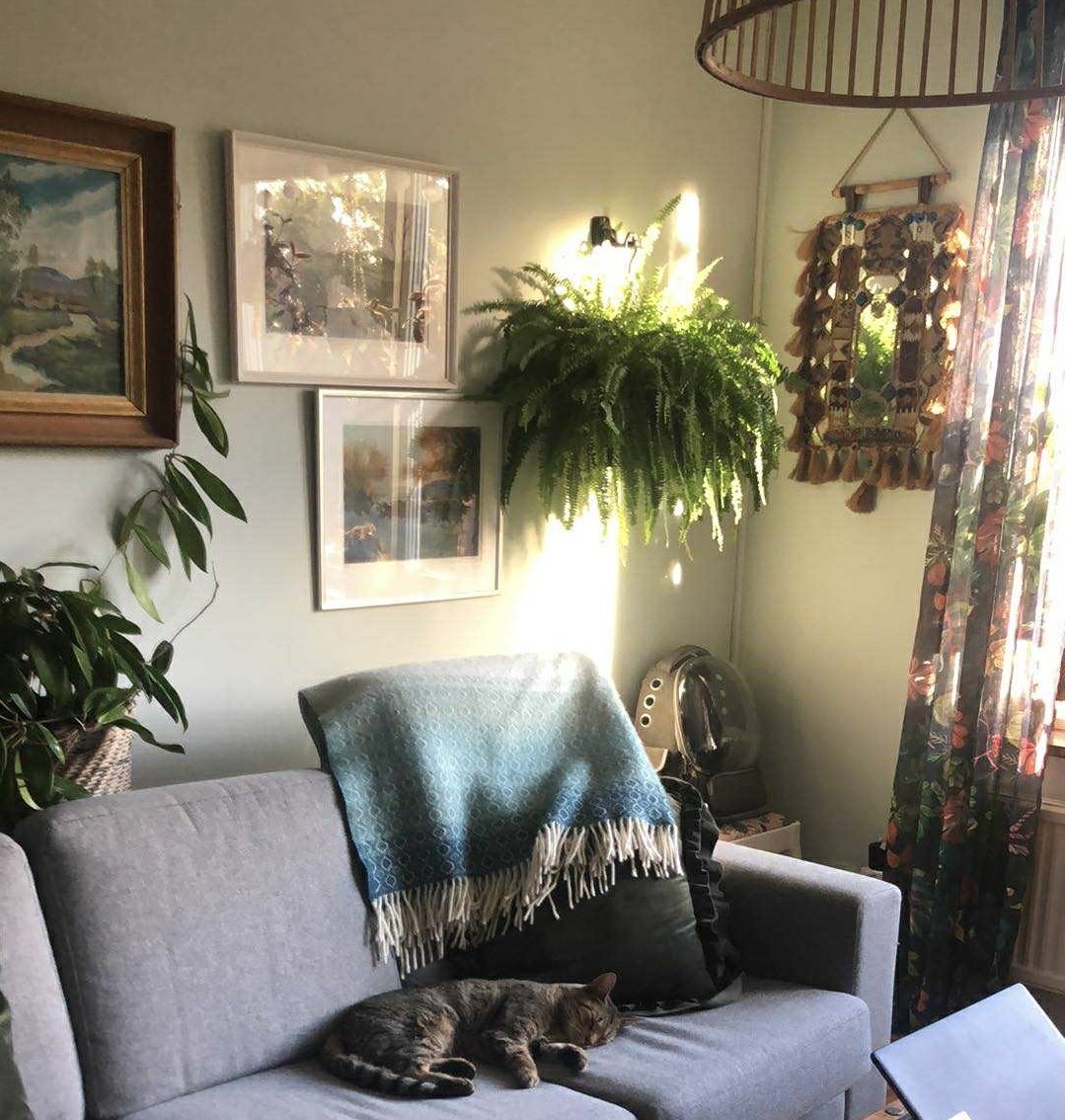 Träkilsgatan, Göteborg — photo 5