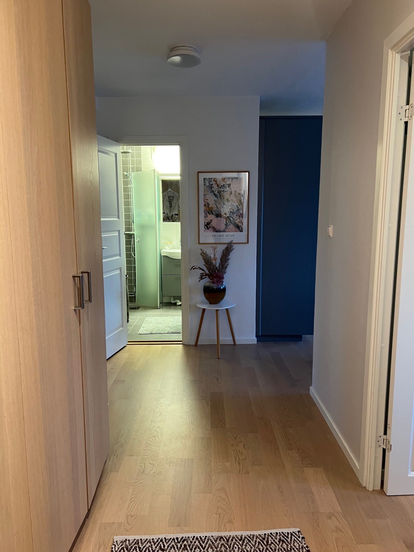 Mellanvångsvägen, Lund