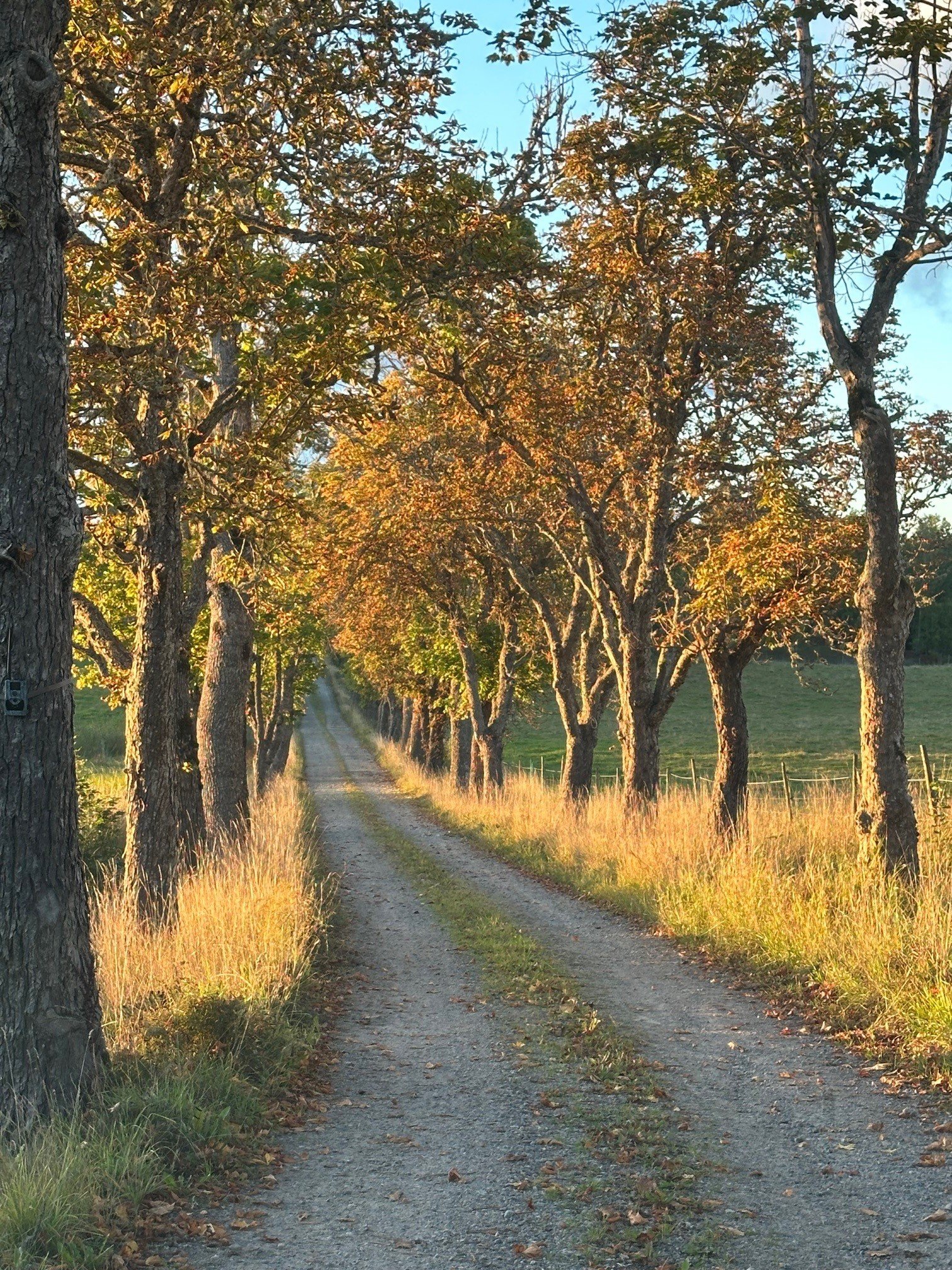 Mjölnarbostaden, Mälby säteri
