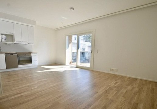 Vuokrataan moderni (rakennusvuosi 2018) yksiö 30,5 m² 4