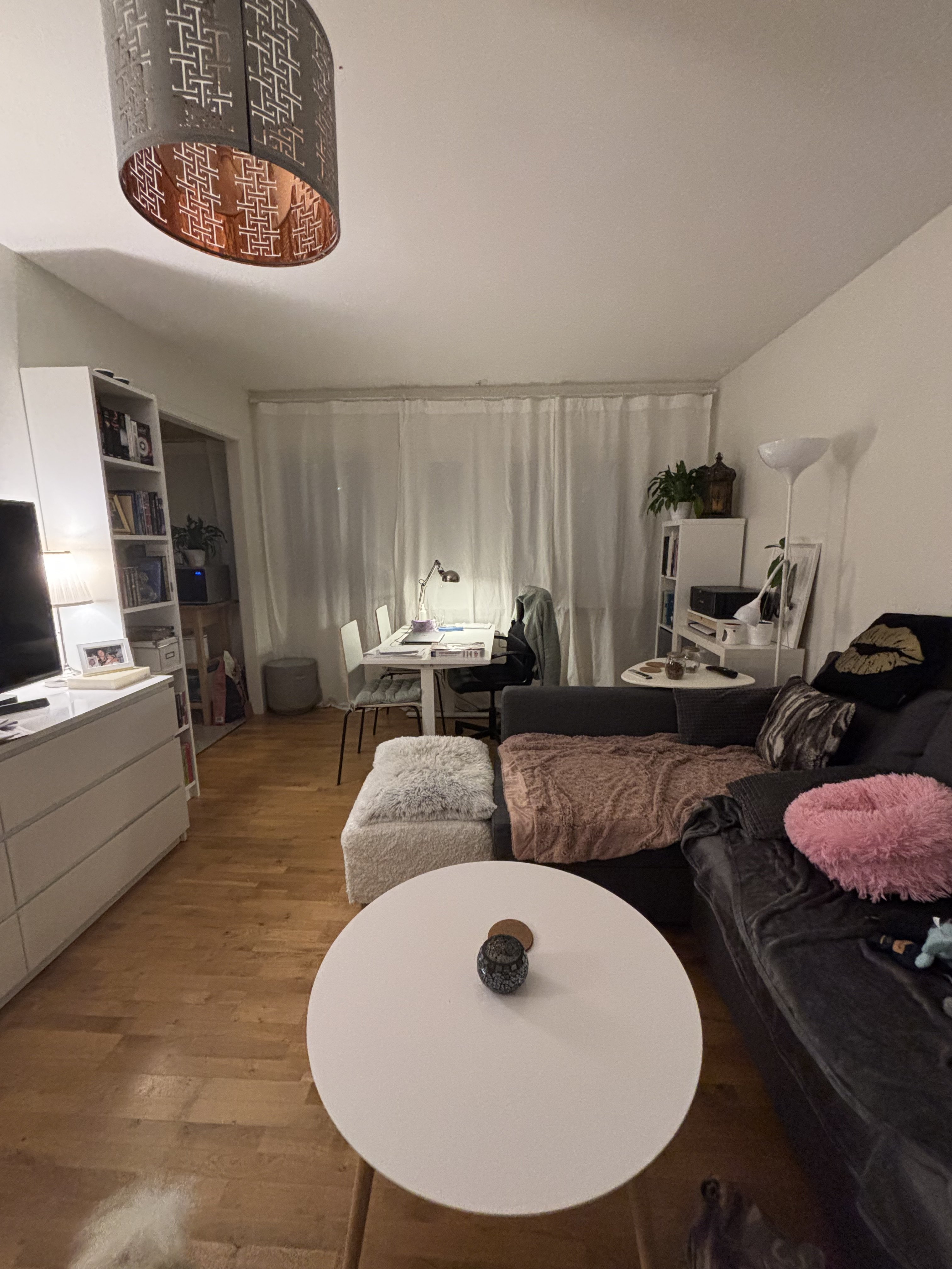 Blidens väg