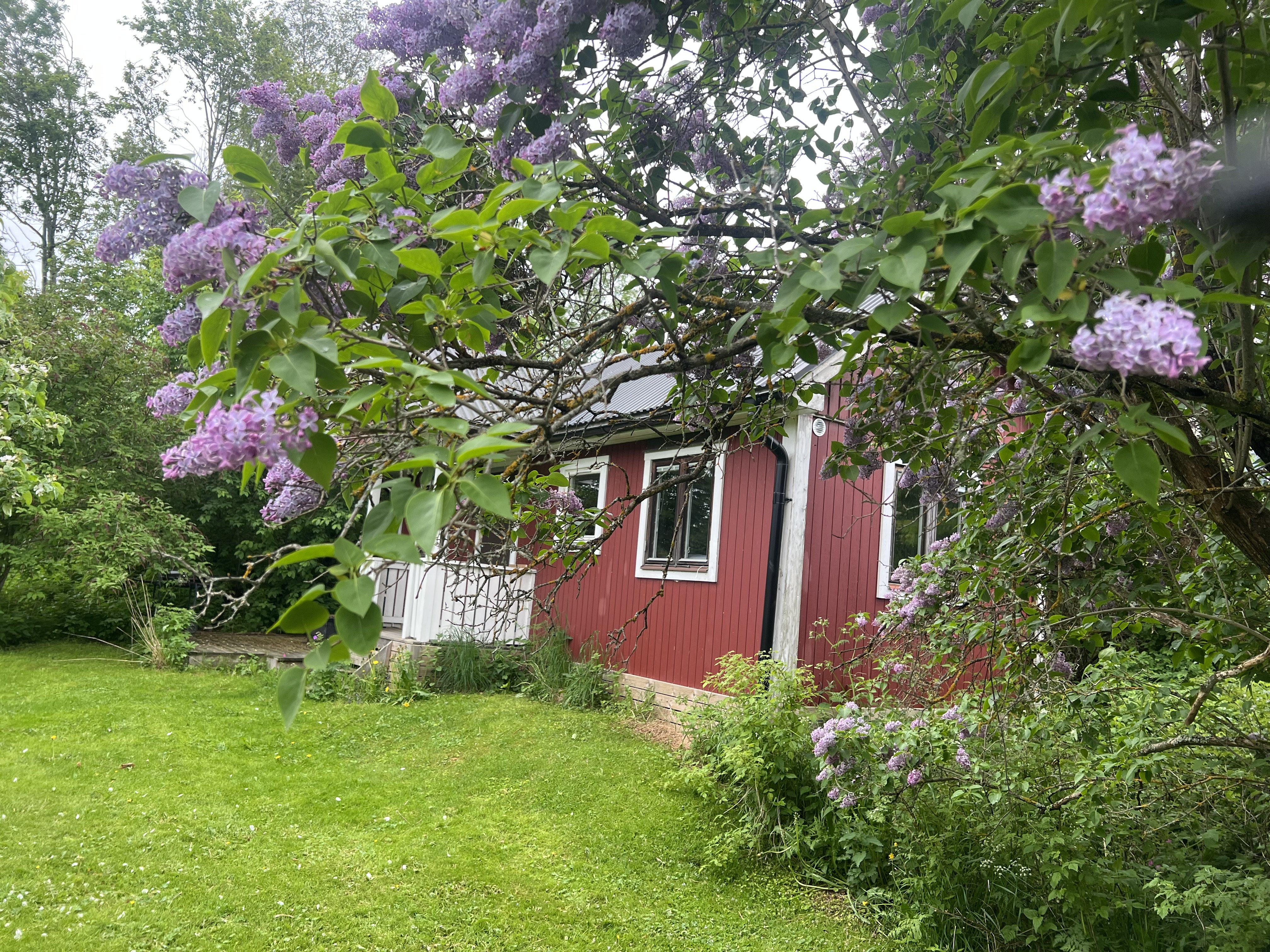 Stuga, 2 rooms, 30 sqm, Alnö