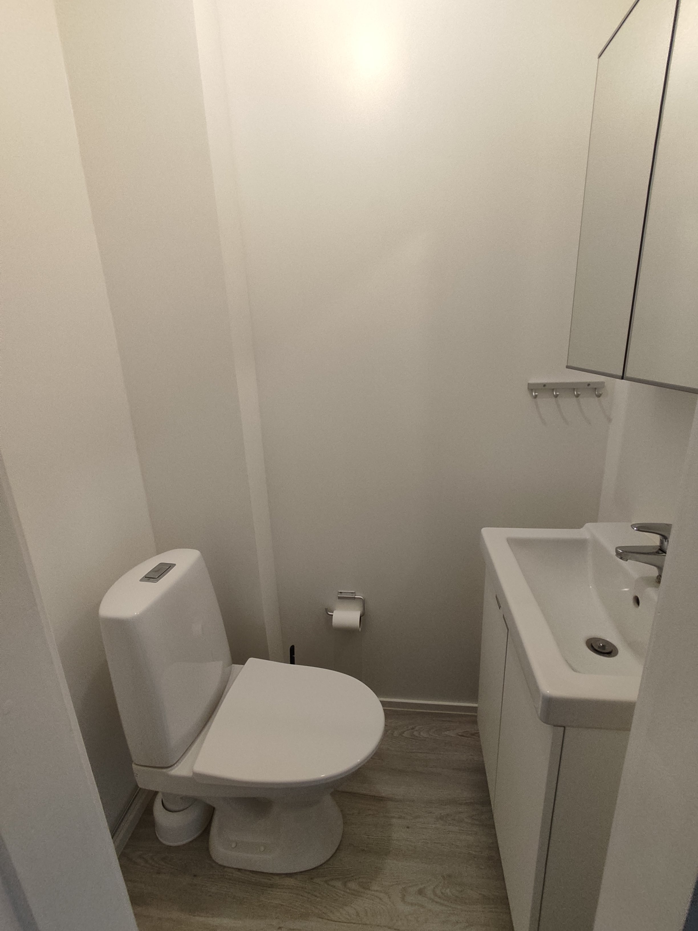 Täysin remontoitu yksiö 5