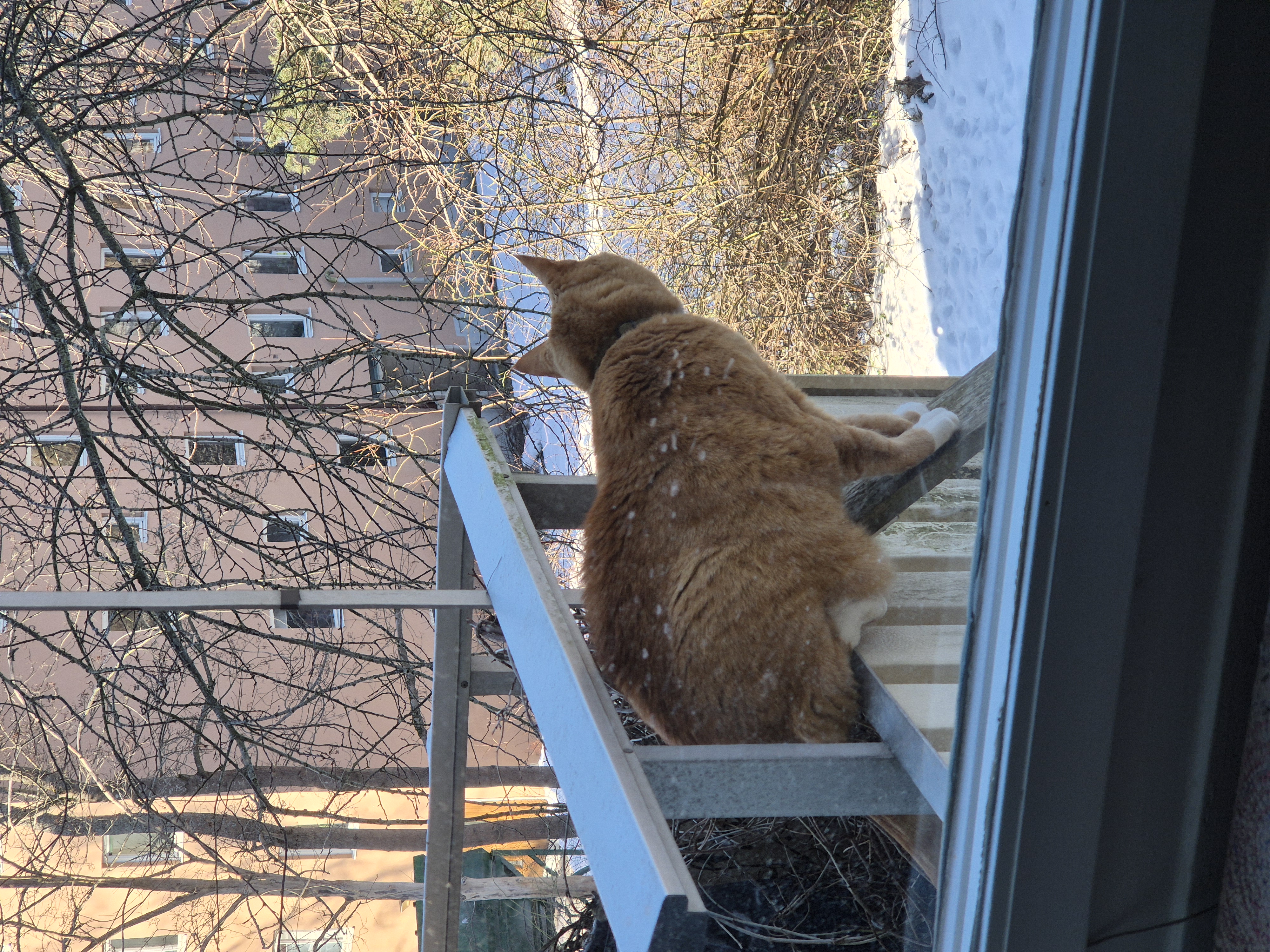 Lyckebyvägen, Johanneshov — photo 4