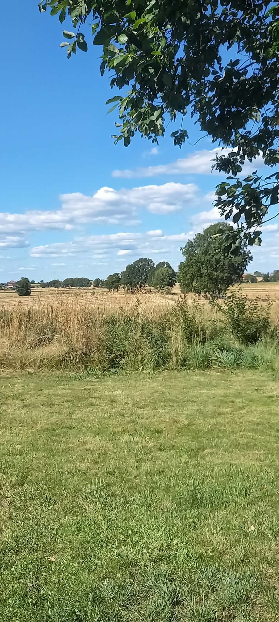 5 rok · 220 m² i Hörby – bild 13